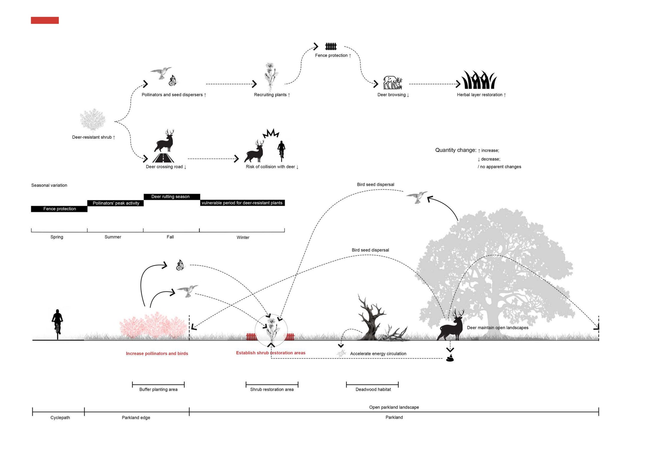 Concept - Horizontal Design Intervention in parkland / grassland