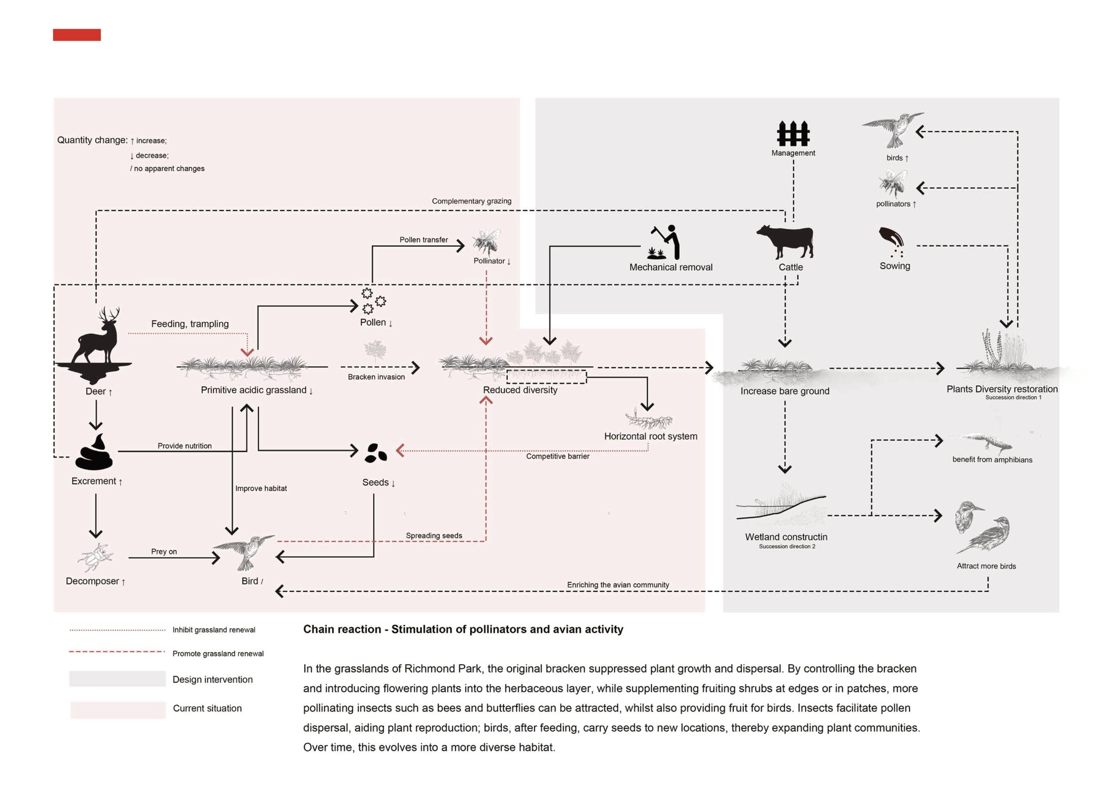 Grassland ecological system