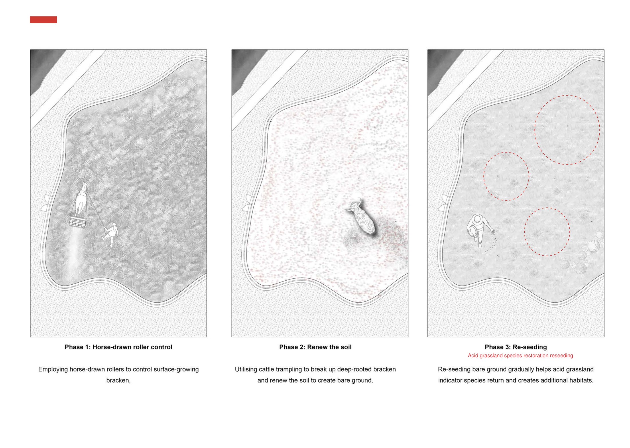 Zone 2 Design development for Developing Grazing trail - grazing trail phased example diagram
