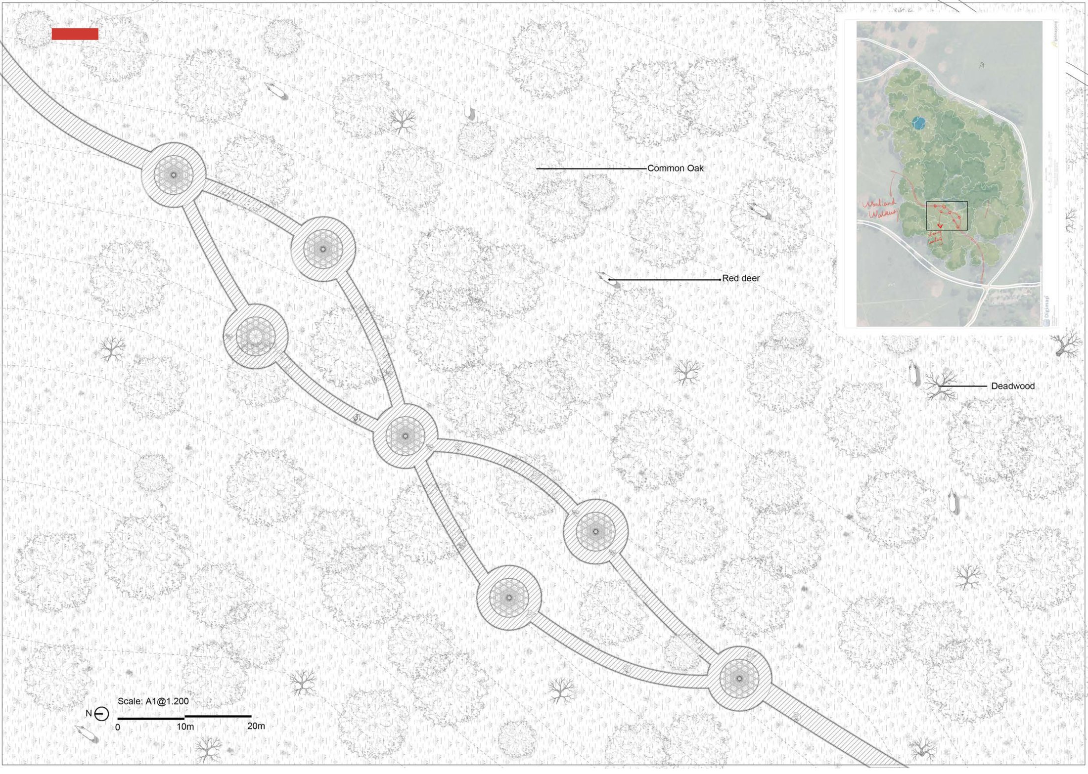 Zone 4 Design development - Masterplan