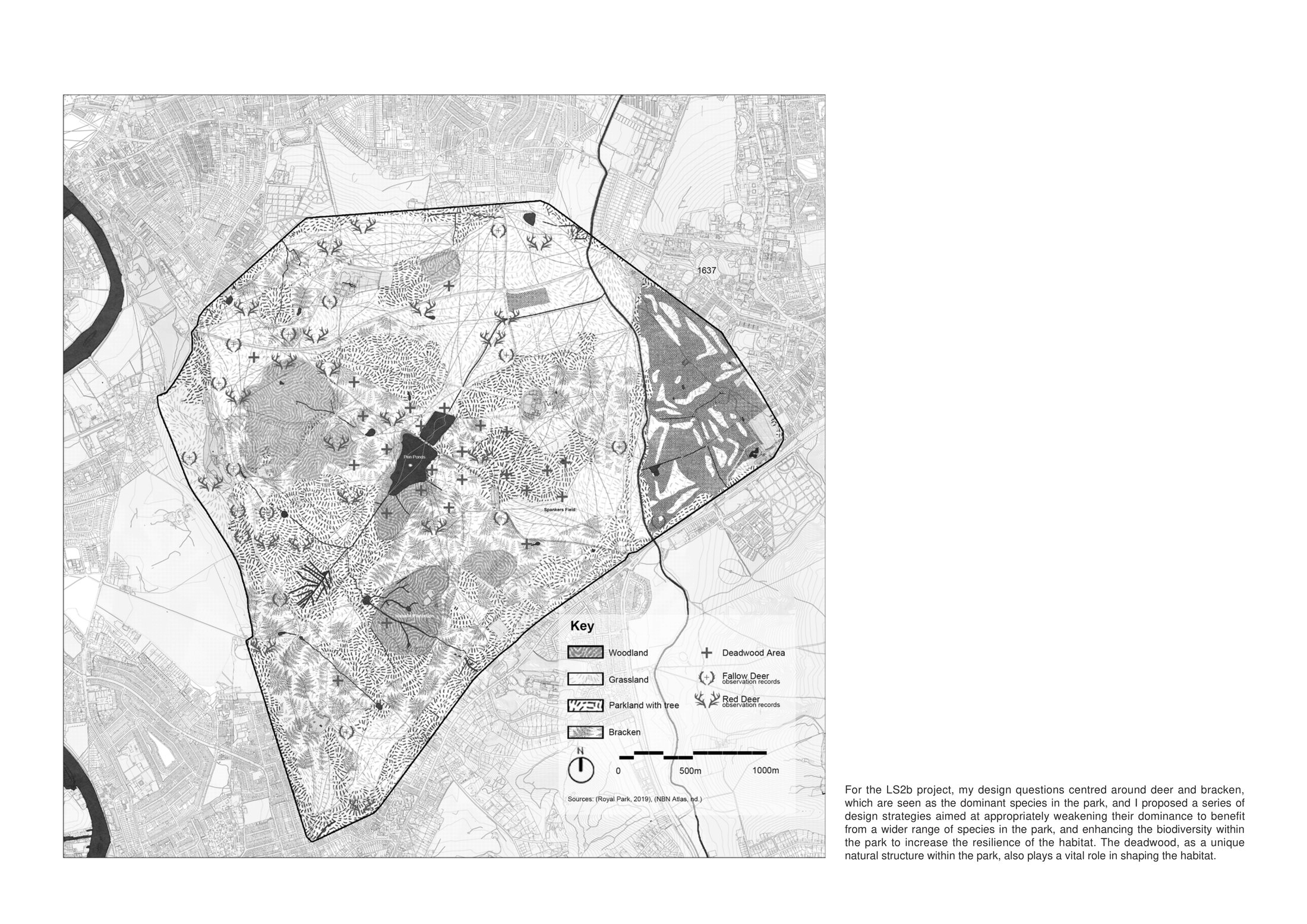 Richmond Park current situation overview