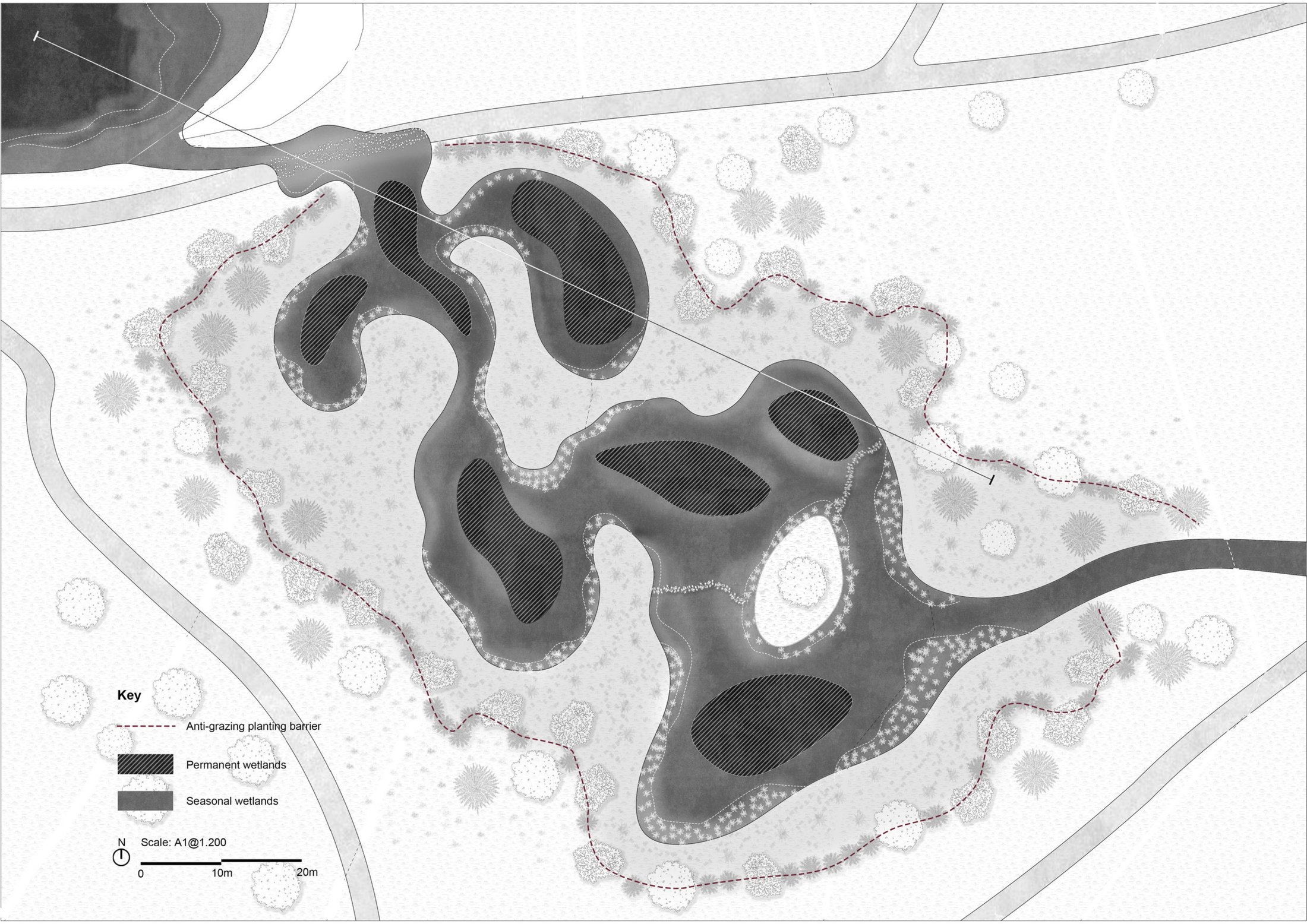 Detail plan of Wetland Cluster