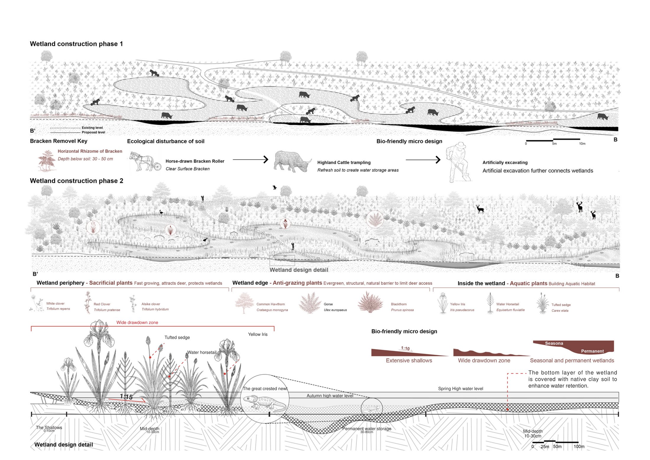Multi-species collaboration in wetlands