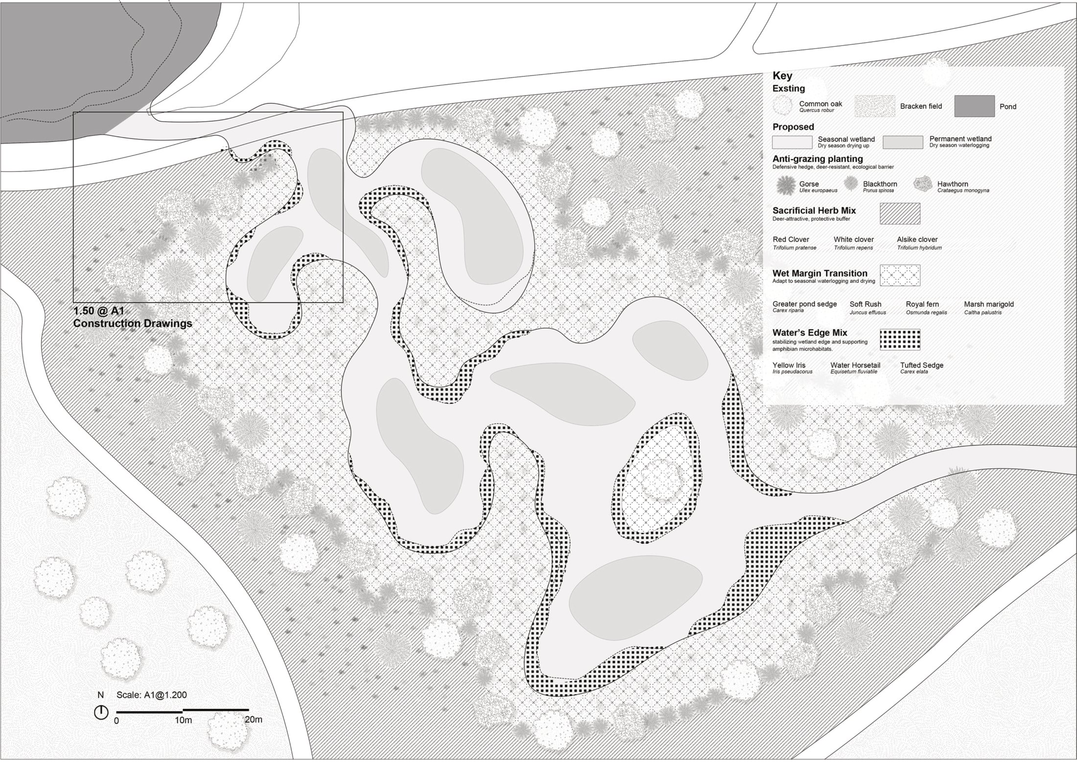 Planting plan of Wetland Cluster