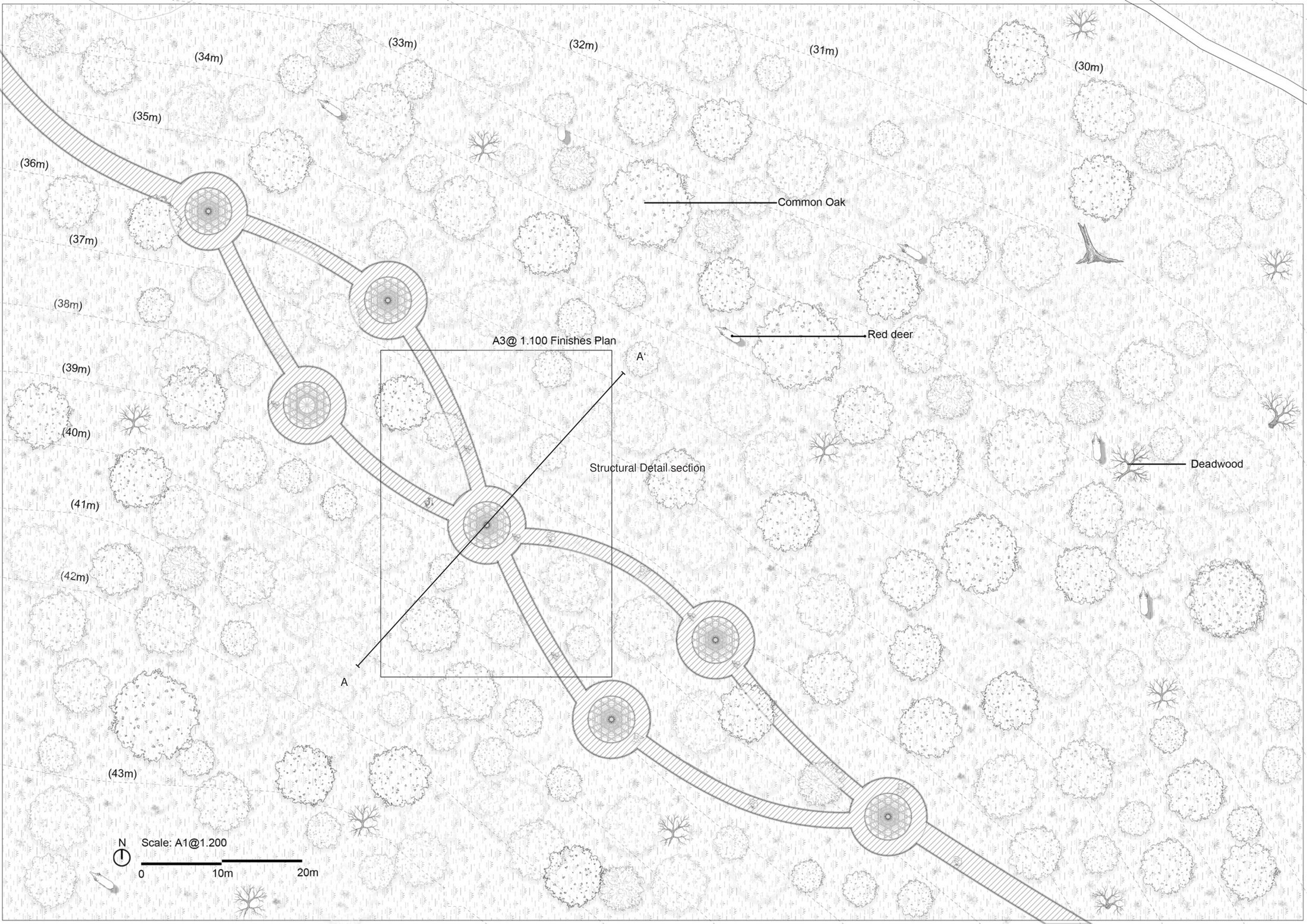 Final plan of Treetop walkway