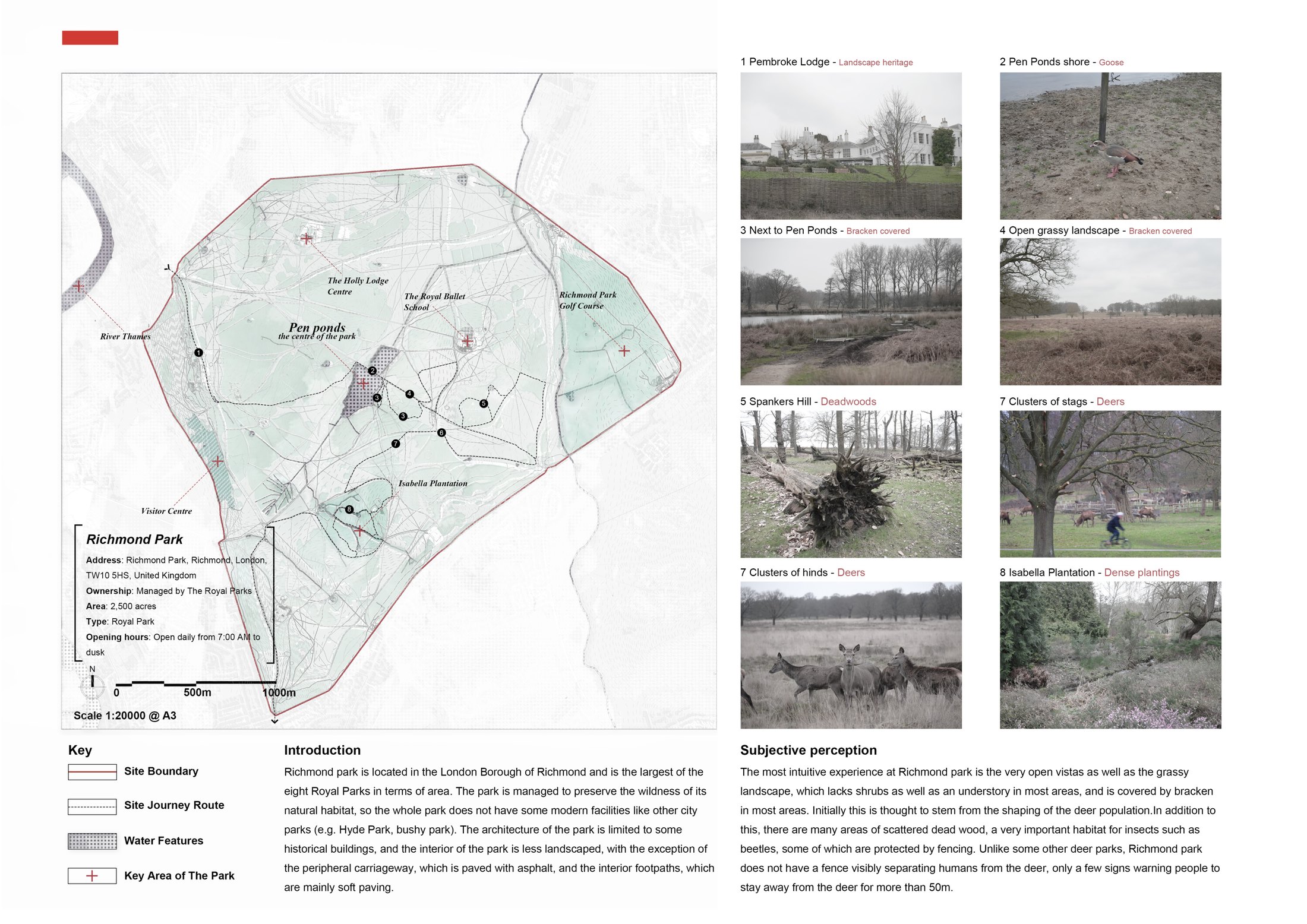 Site Mapping and Journey