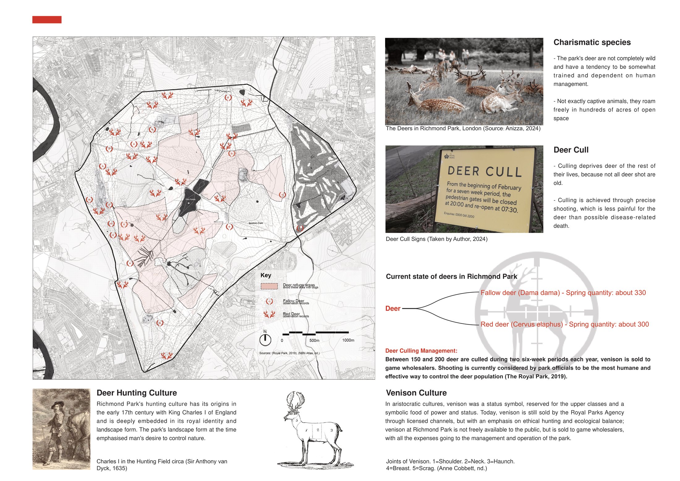Key feature 1 - Deer