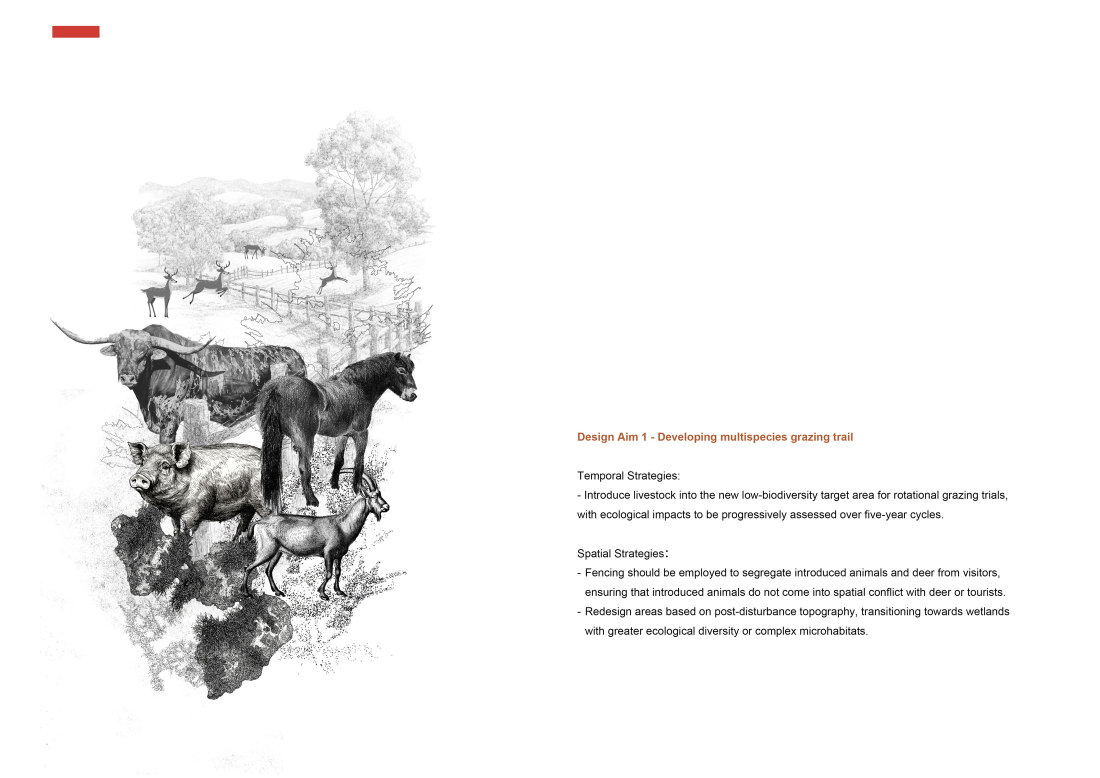 Design Strategies 1