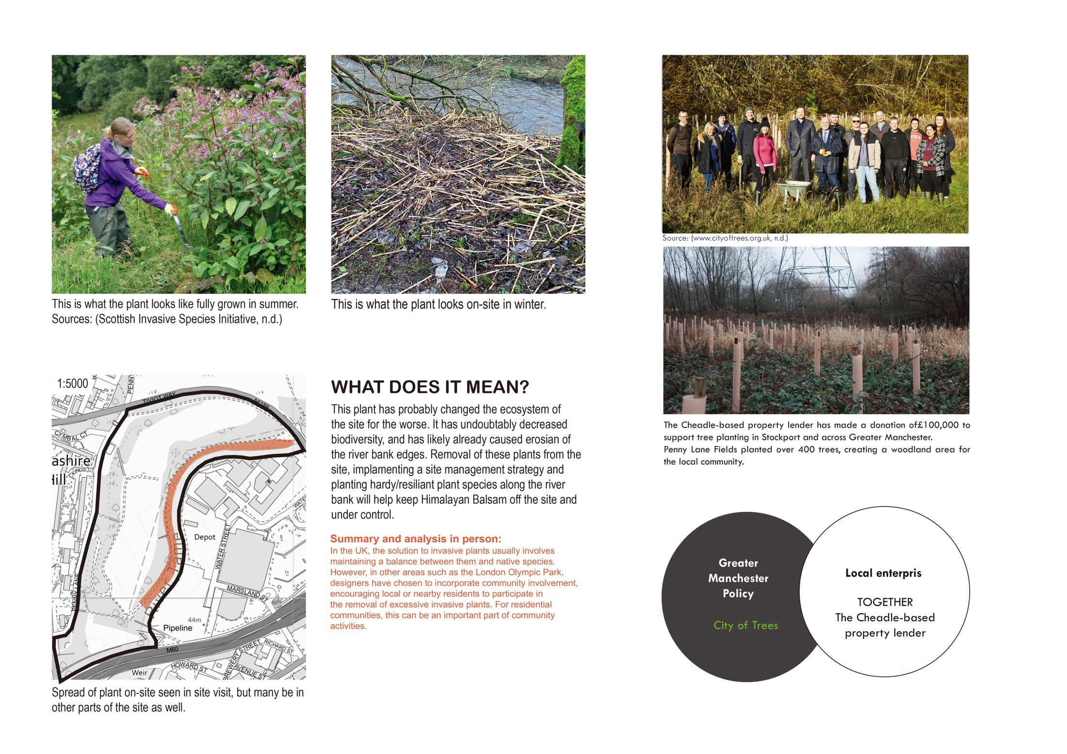 Invasive Plant Management + Community Engagement