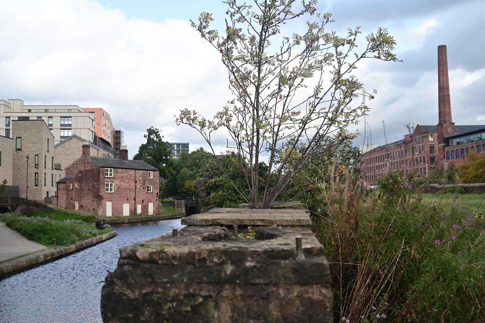 The canal, lock cottage and mill beyond