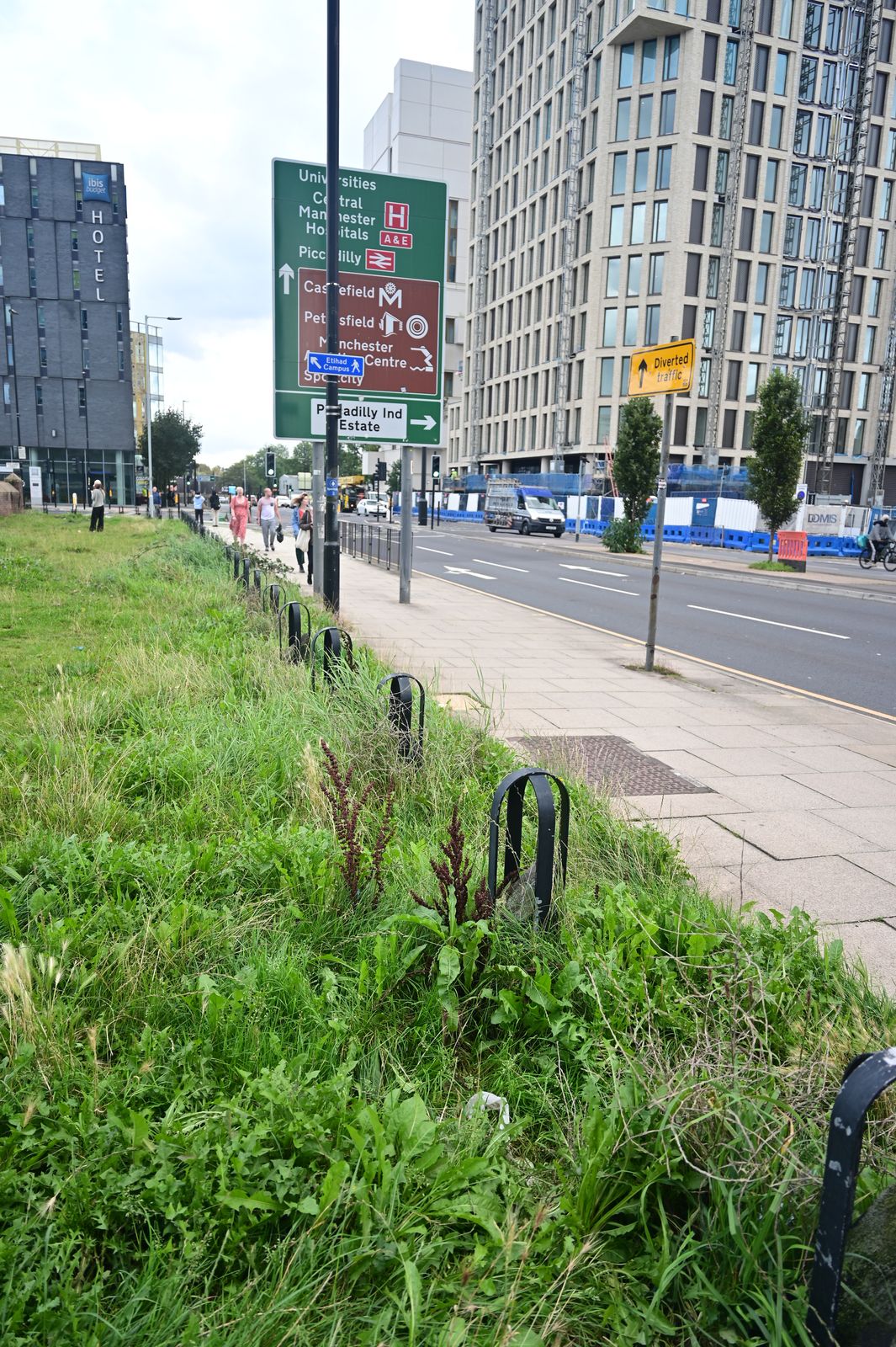 The wild edge meeting the city street