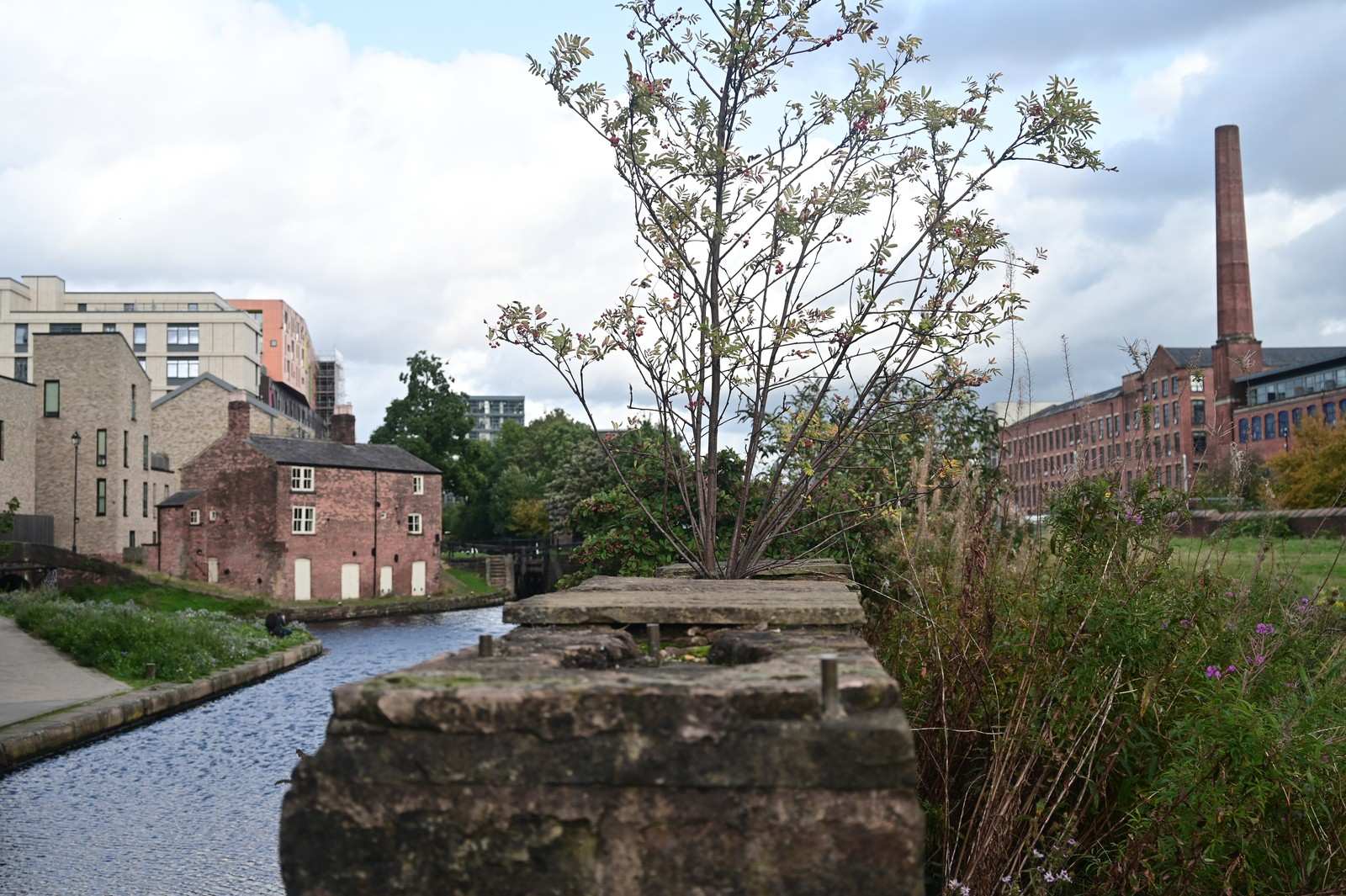 The canal, lock cottage and mill beyond