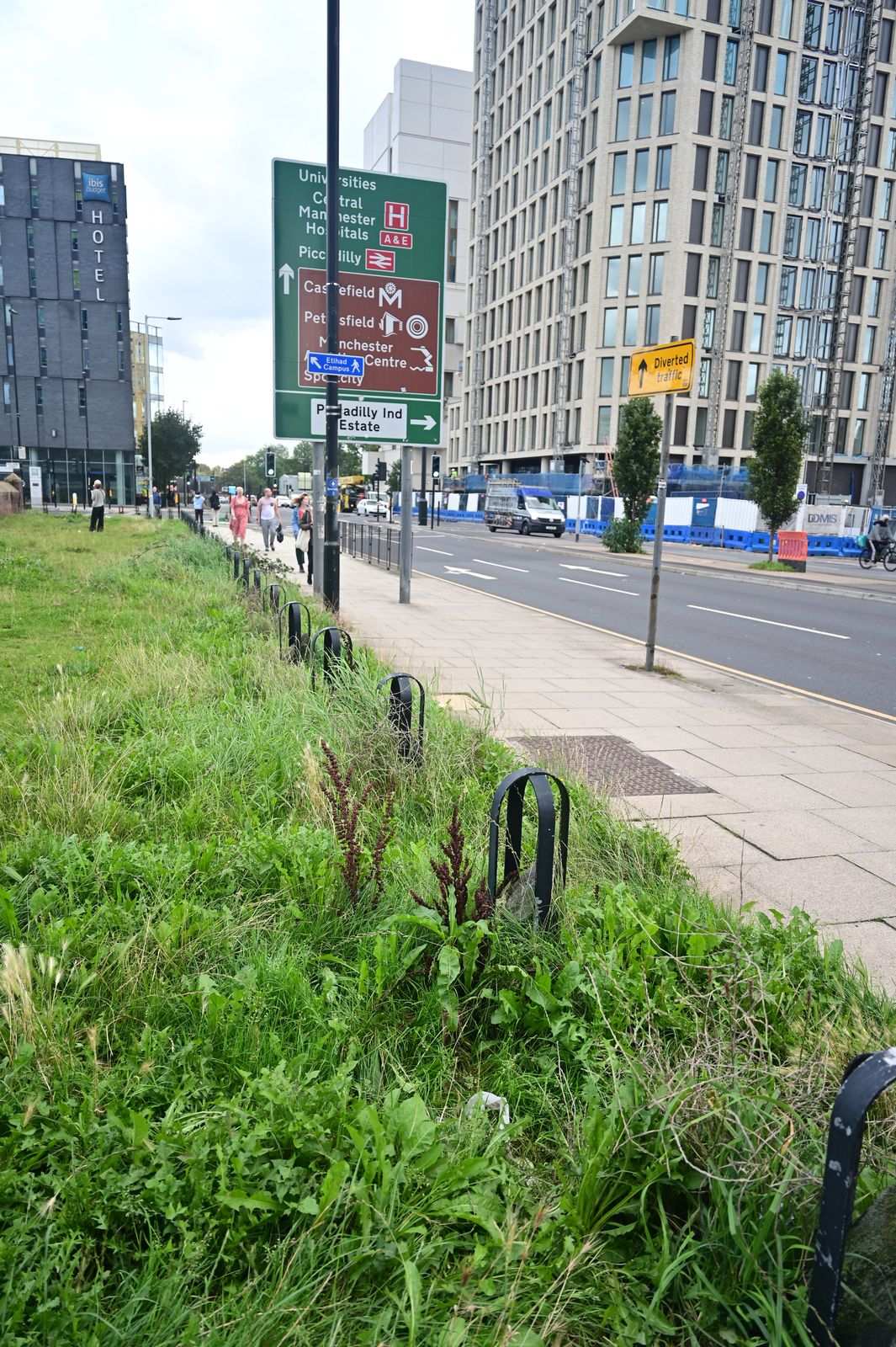 The wild edge meeting the city street