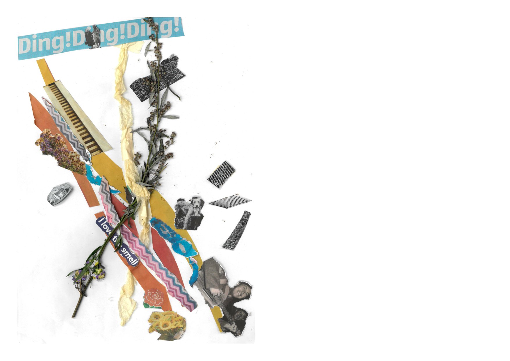 Subjective Experience — Group collage