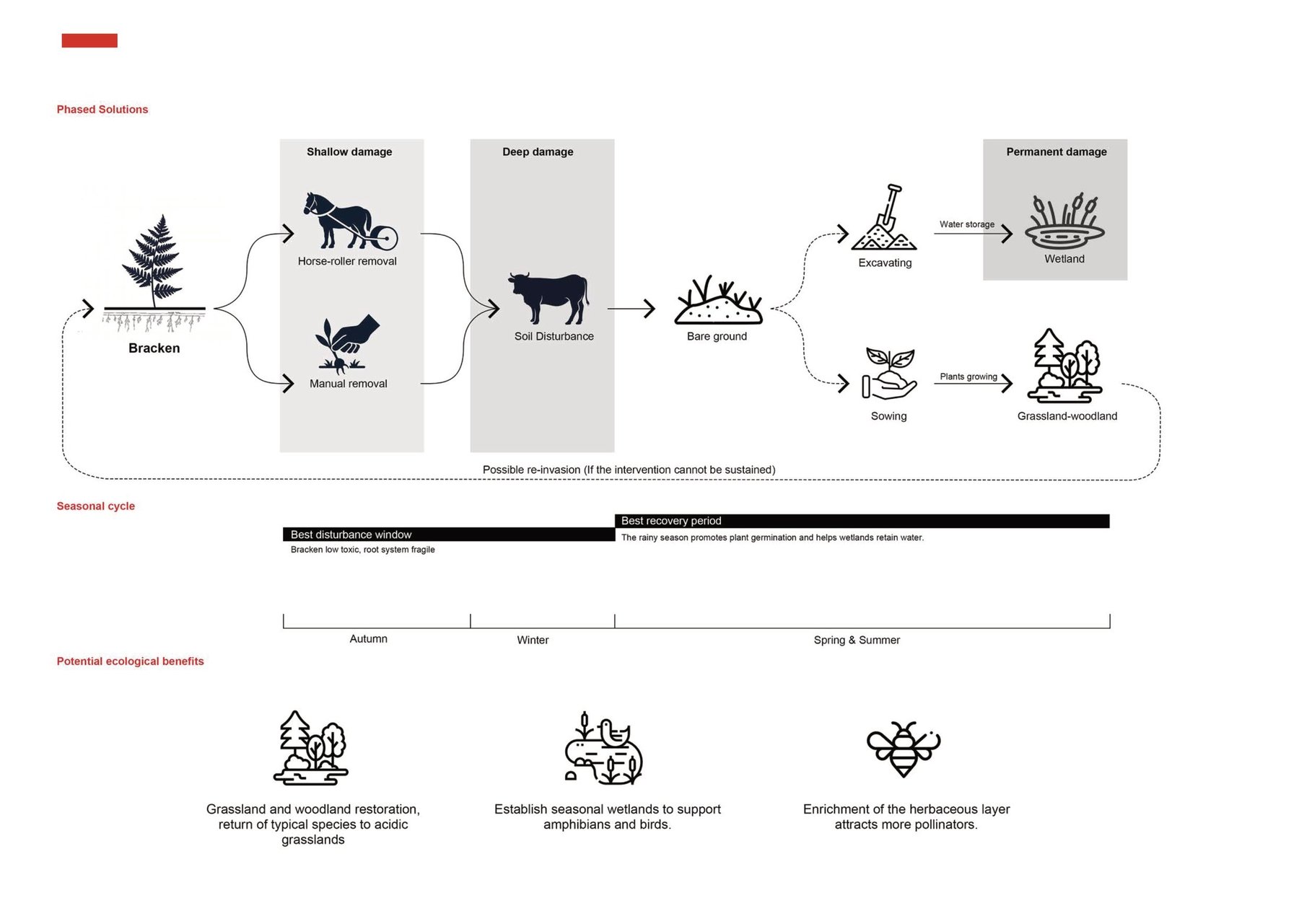 Comprehensive solution for bracken control