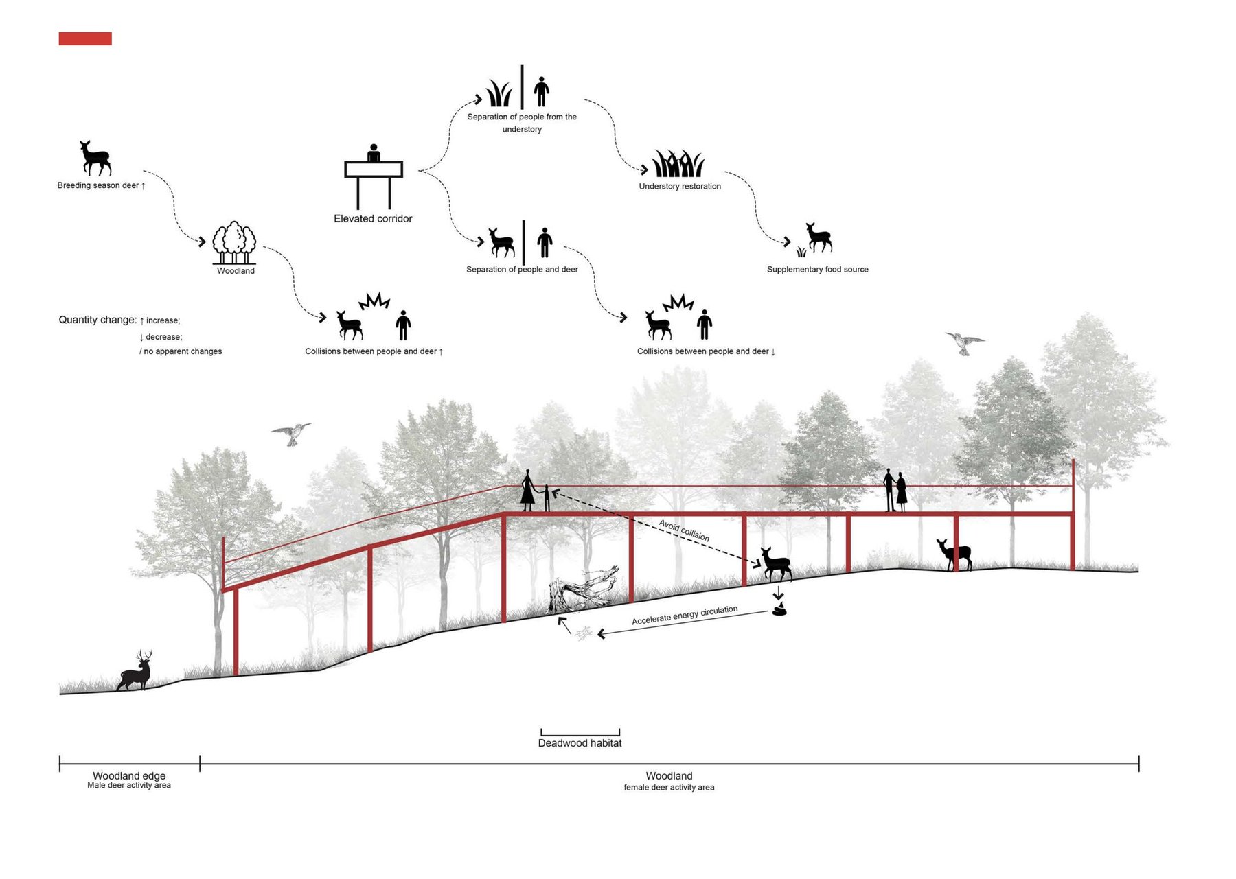 Concept - Vertical Design Intervention in woodland