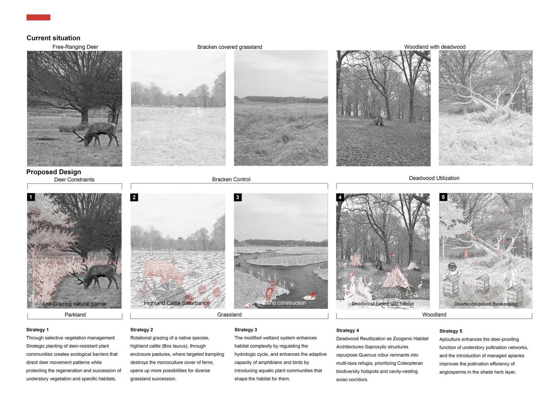 Overall Ecological Design Strategies