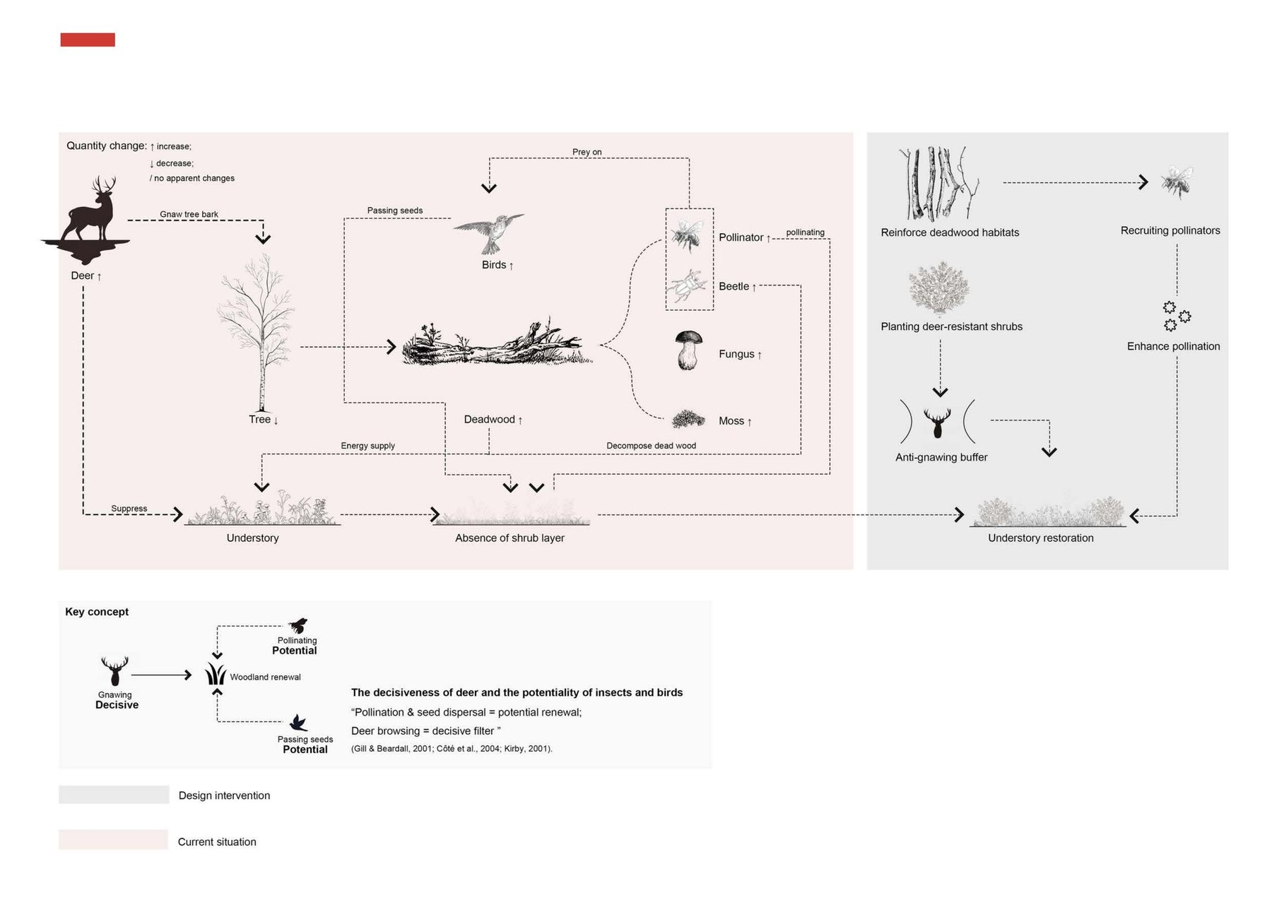Woodland ecological system