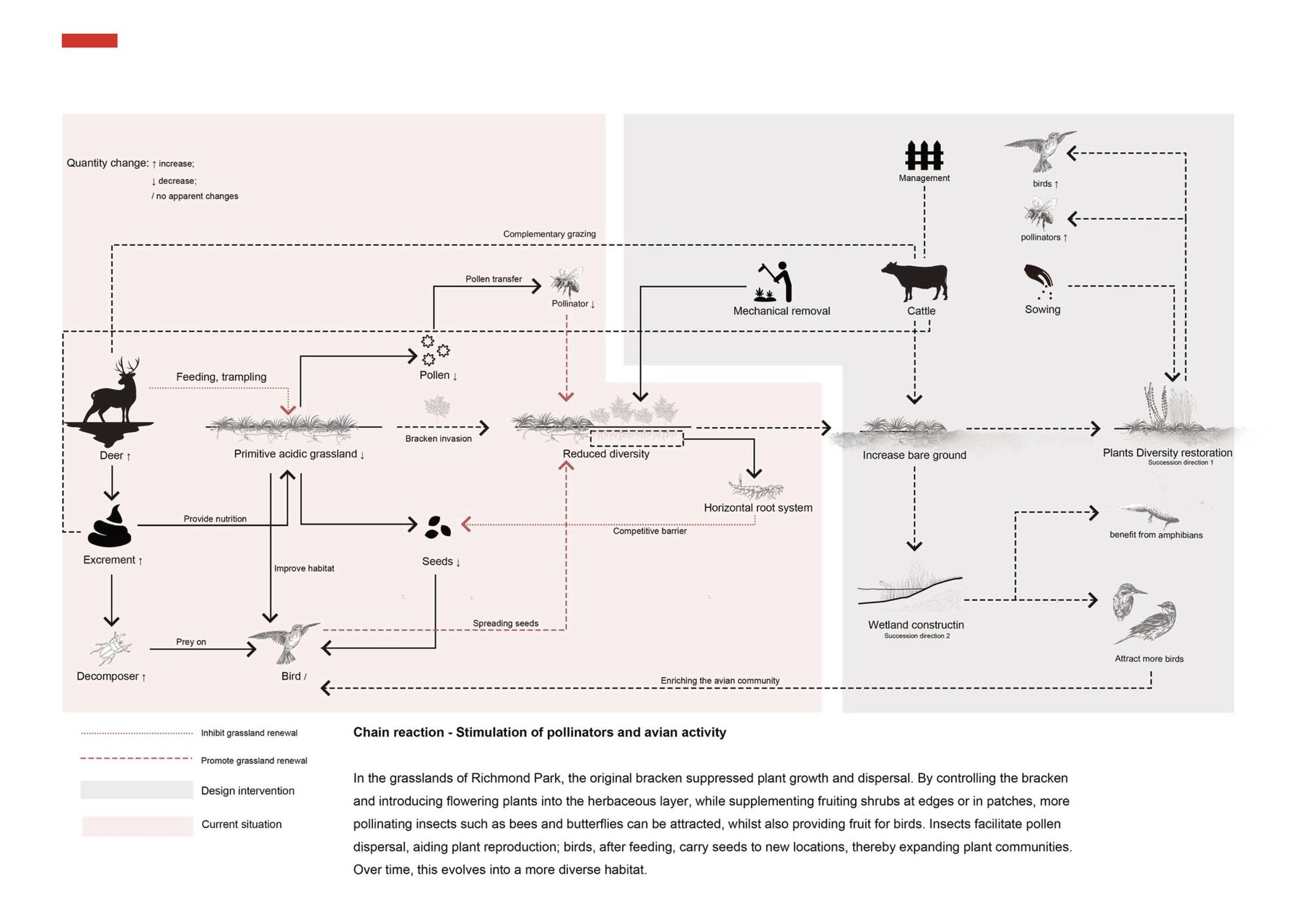 Grassland ecological system