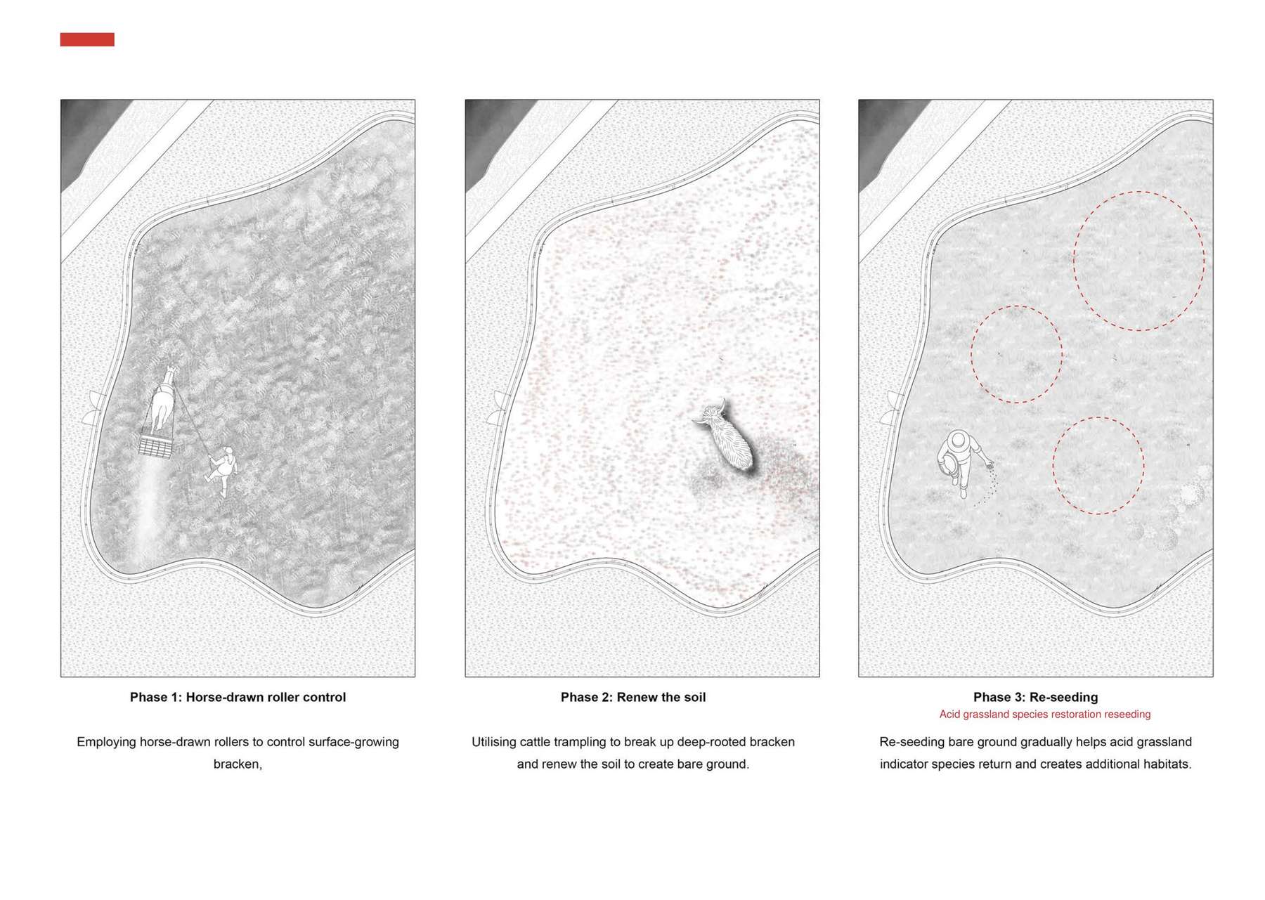 Zone 2 Design development for Developing Grazing trail - grazing trail phased example diagram