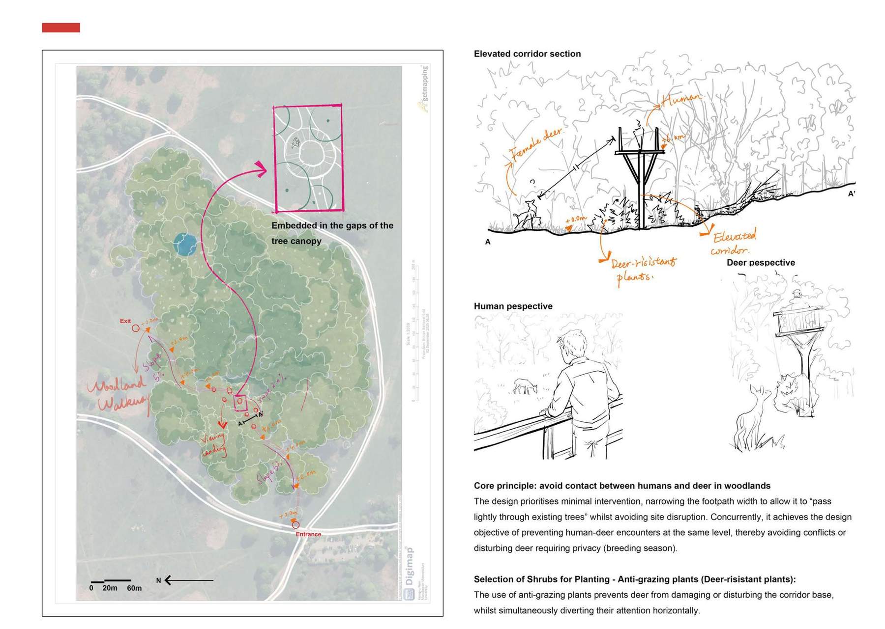 Zone 4 Design development - Design Iteration 3