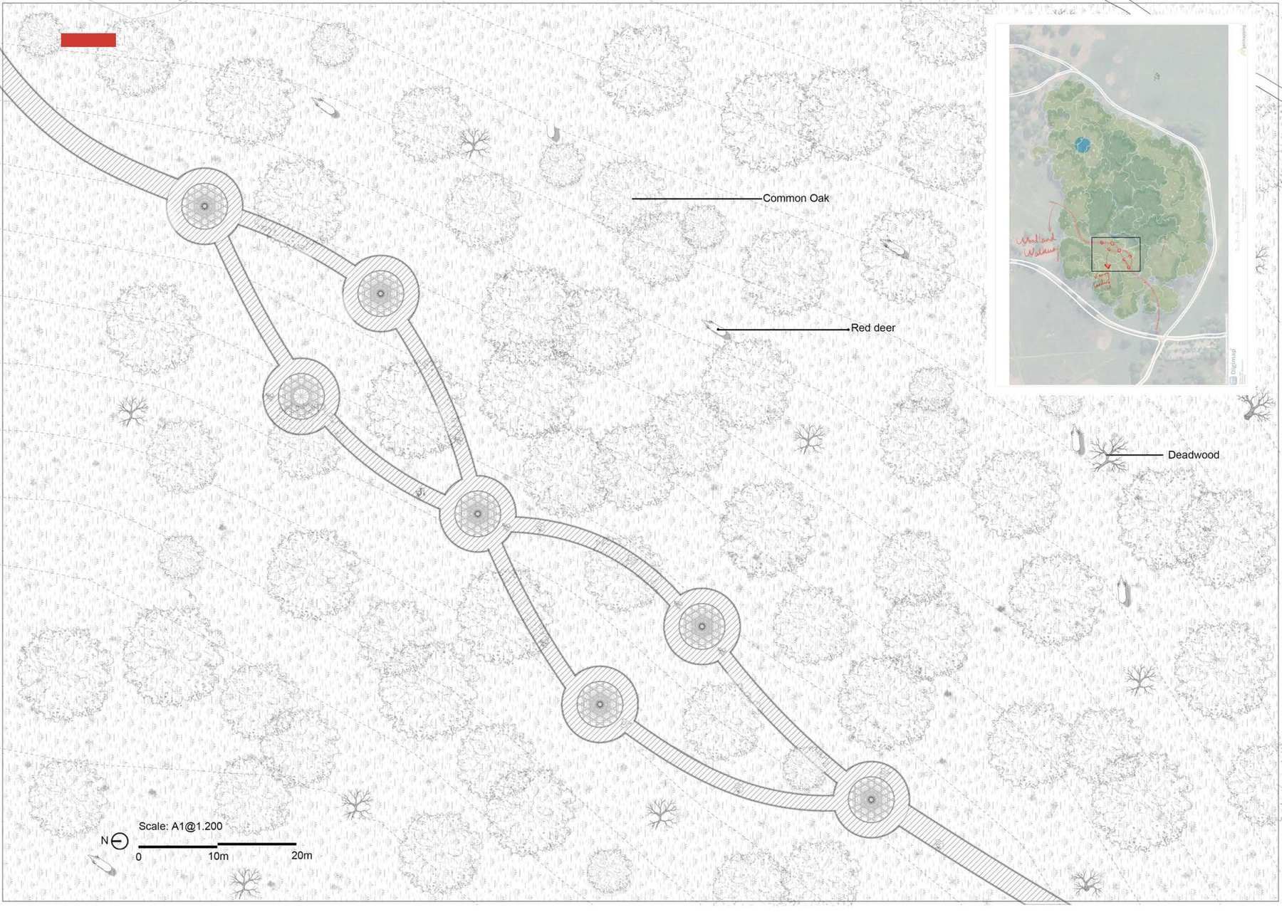 Zone 4 Design development - Masterplan