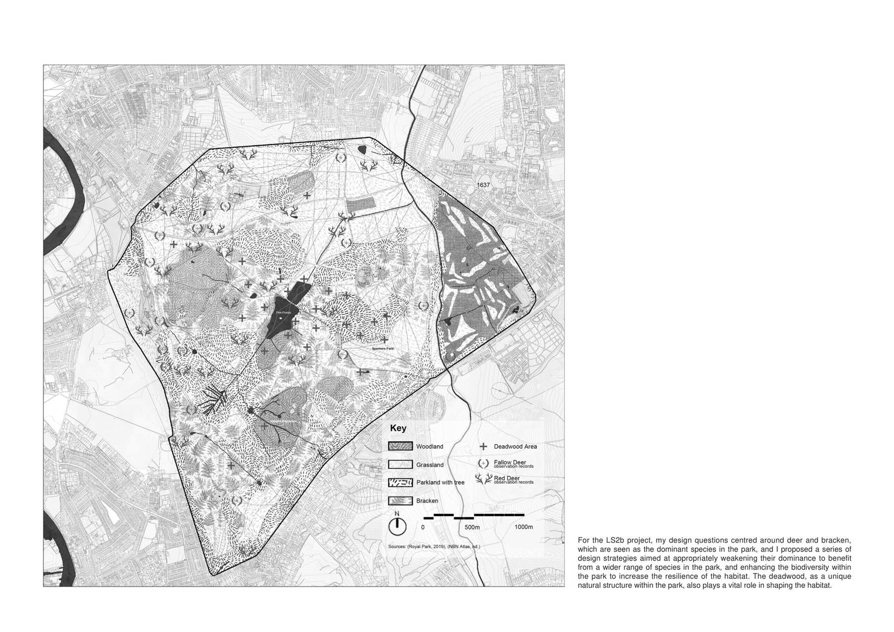 Richmond Park current situation overview