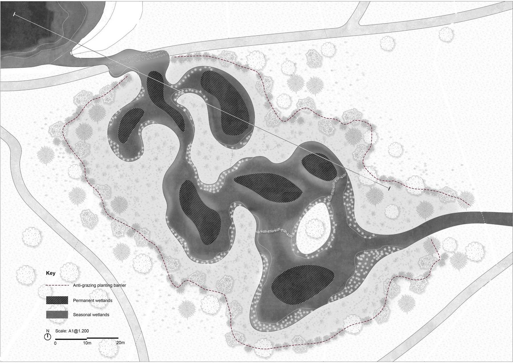 Detail plan of Wetland Cluster