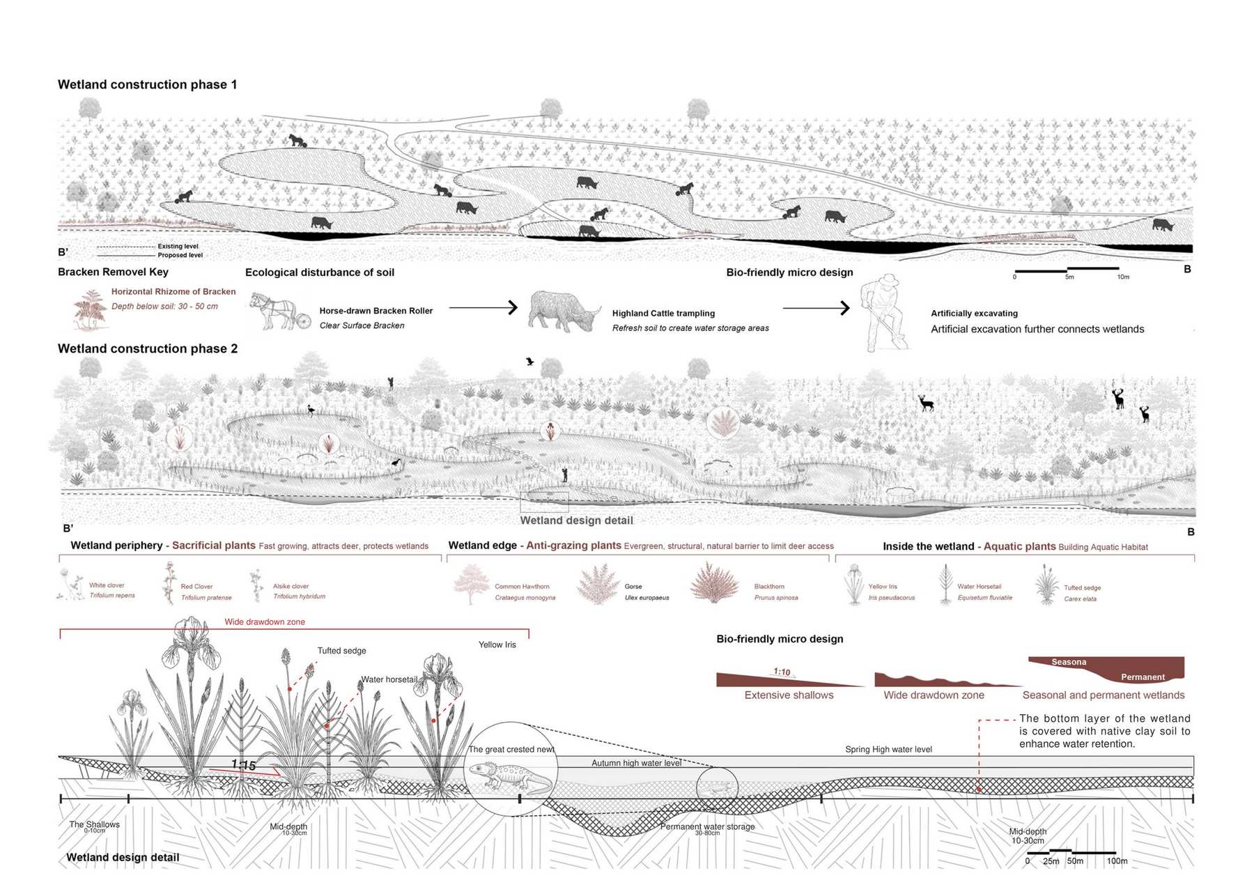 Multi-species collaboration in wetlands