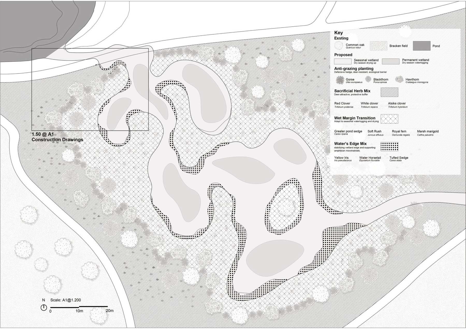 Planting plan of Wetland Cluster