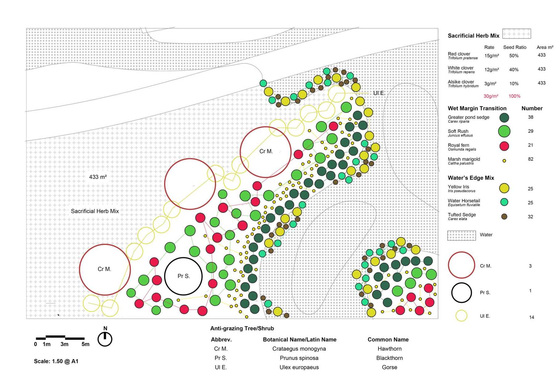 Planting Construction Drawing