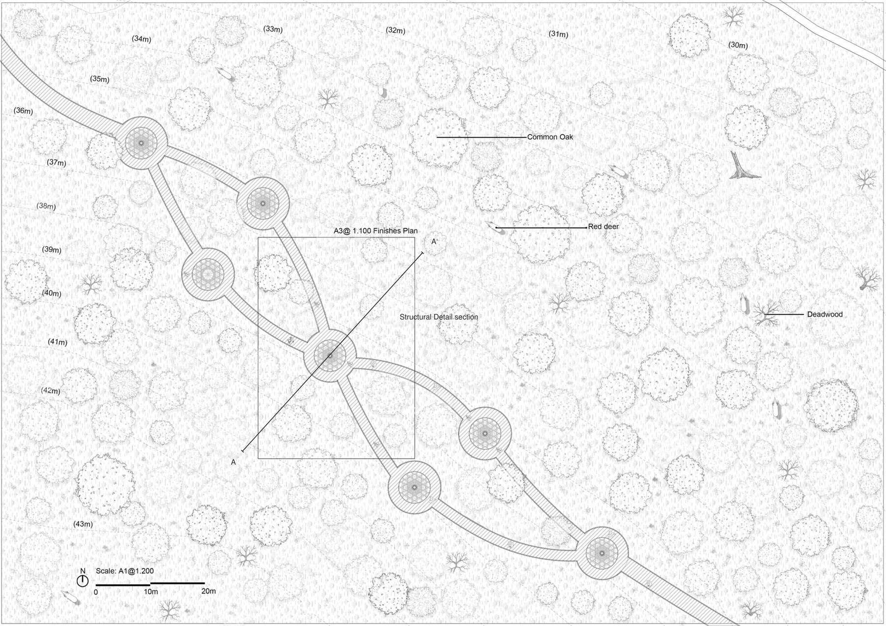 Final plan of Treetop walkway