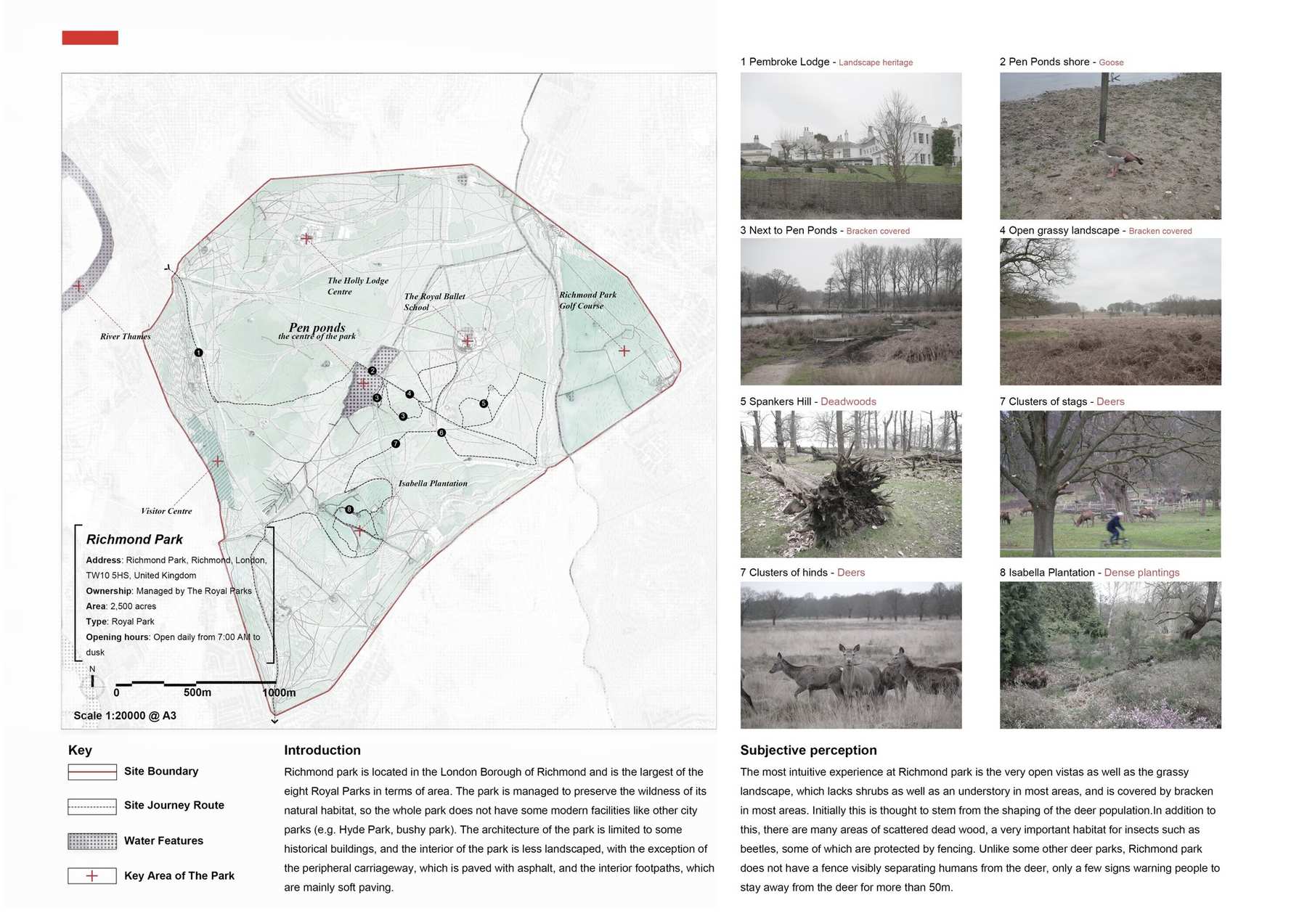 Site Mapping and Journey