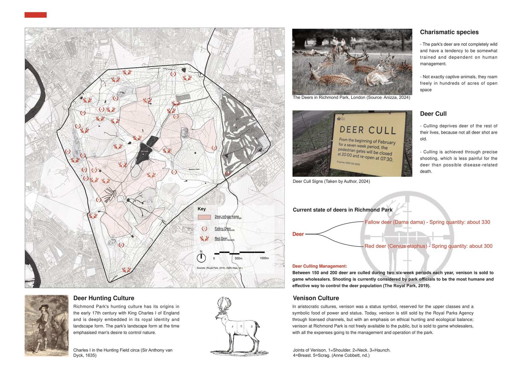 Key feature 1 - Deer