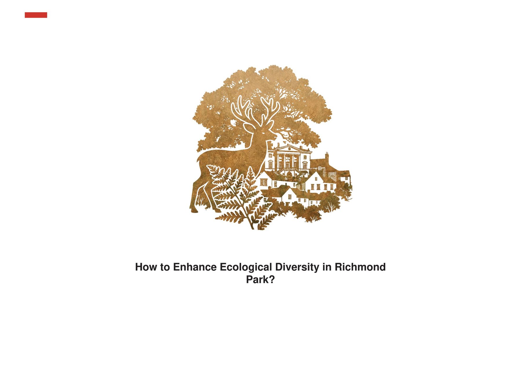 Initial Research Question