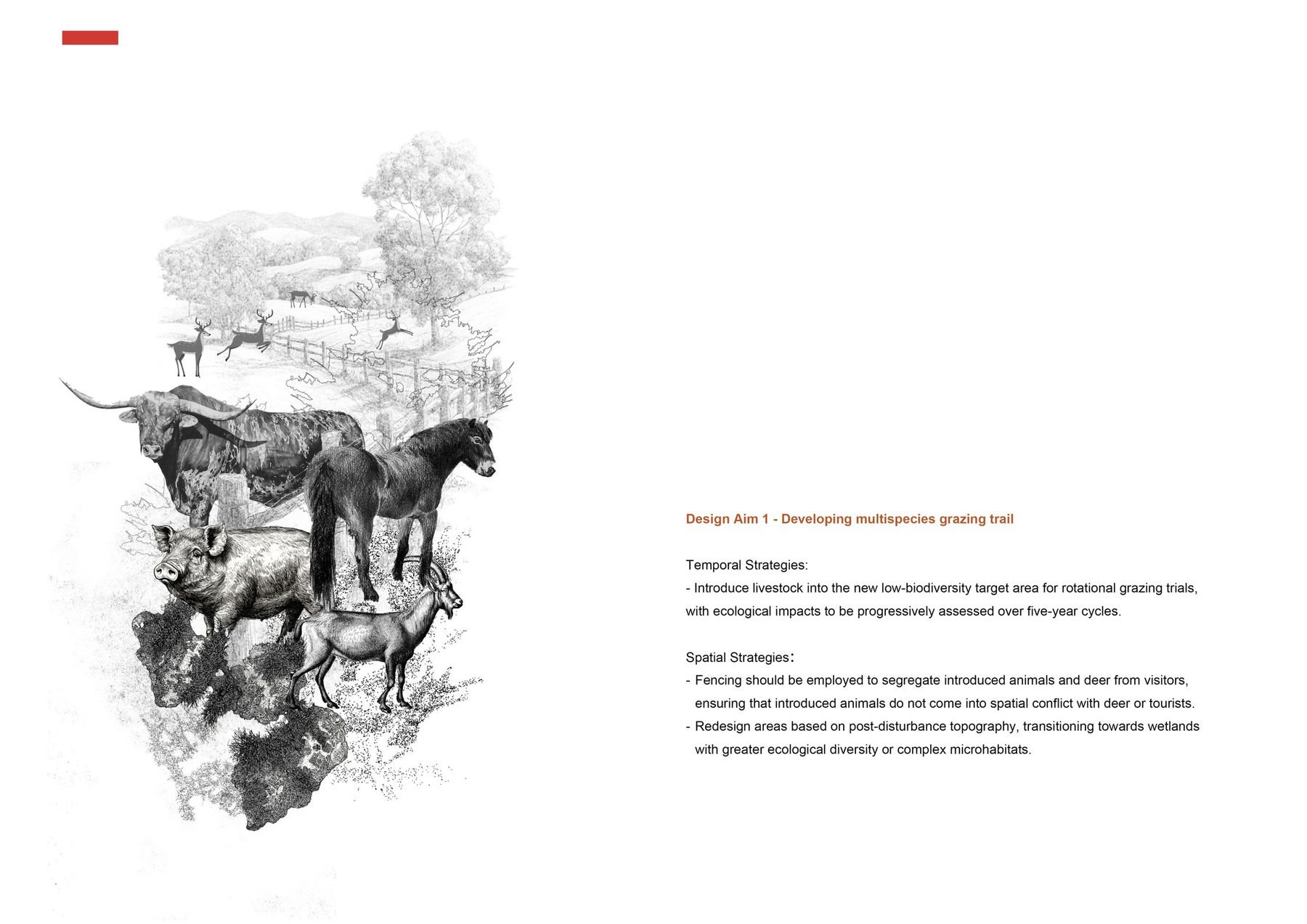 Design Strategies 1