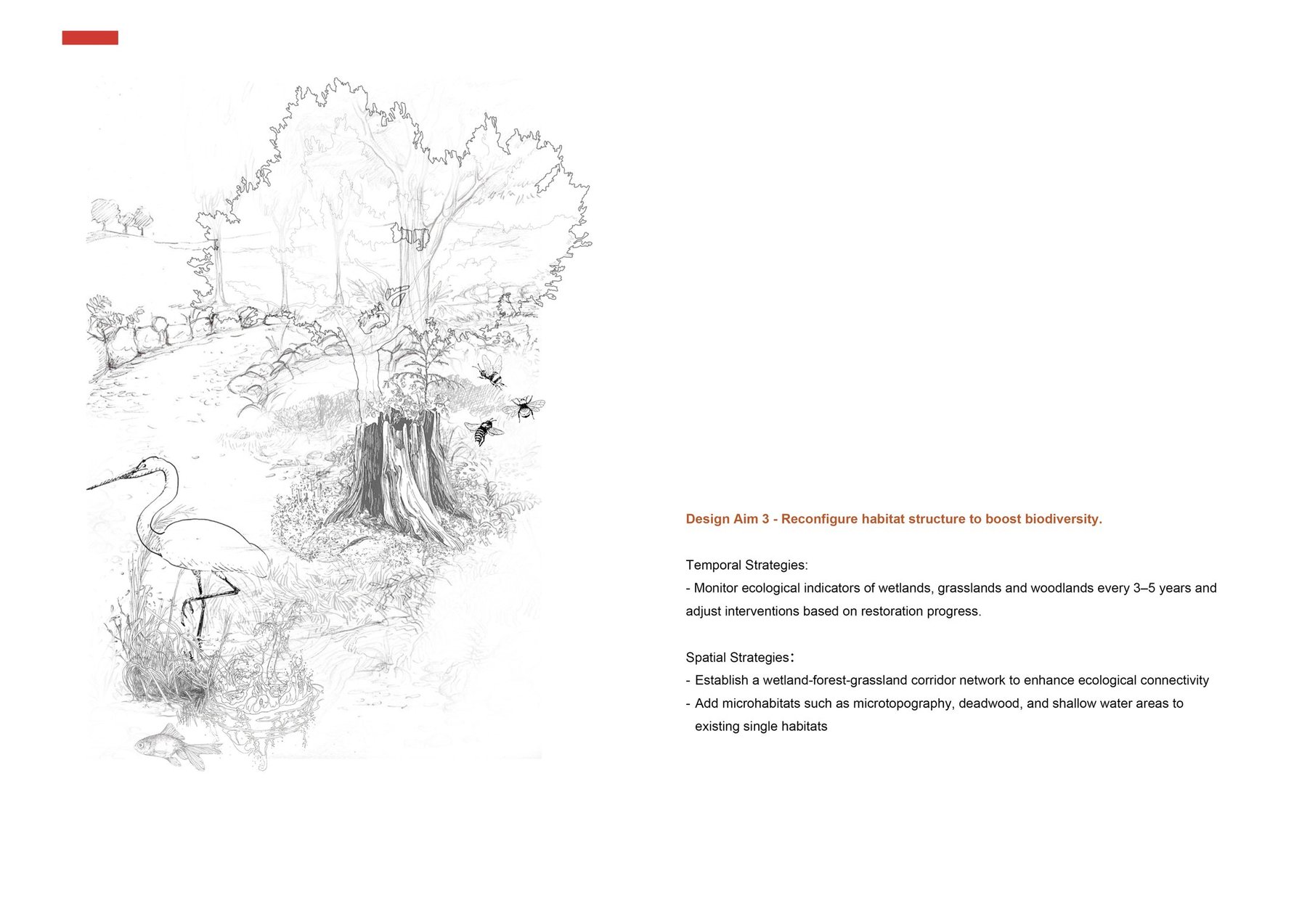 Design Strategies 3