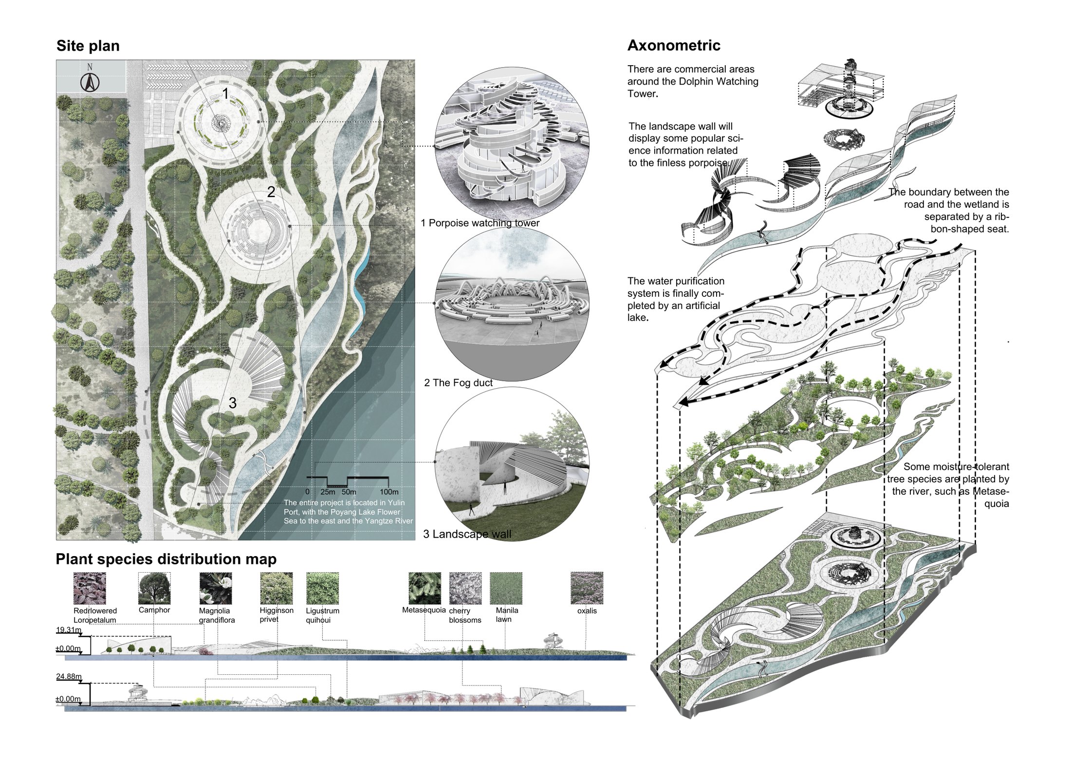 Masterplan & Section