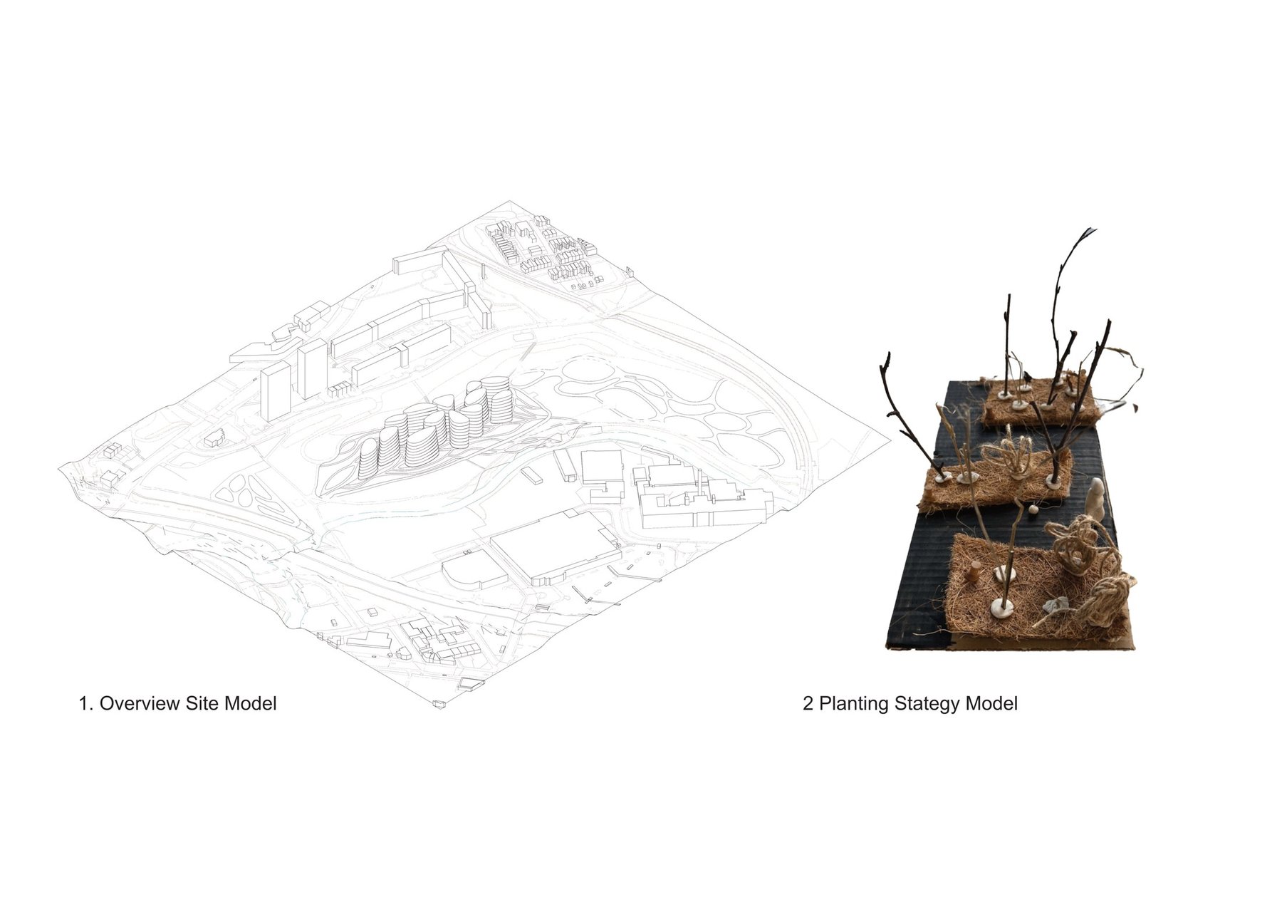 Sketch Model