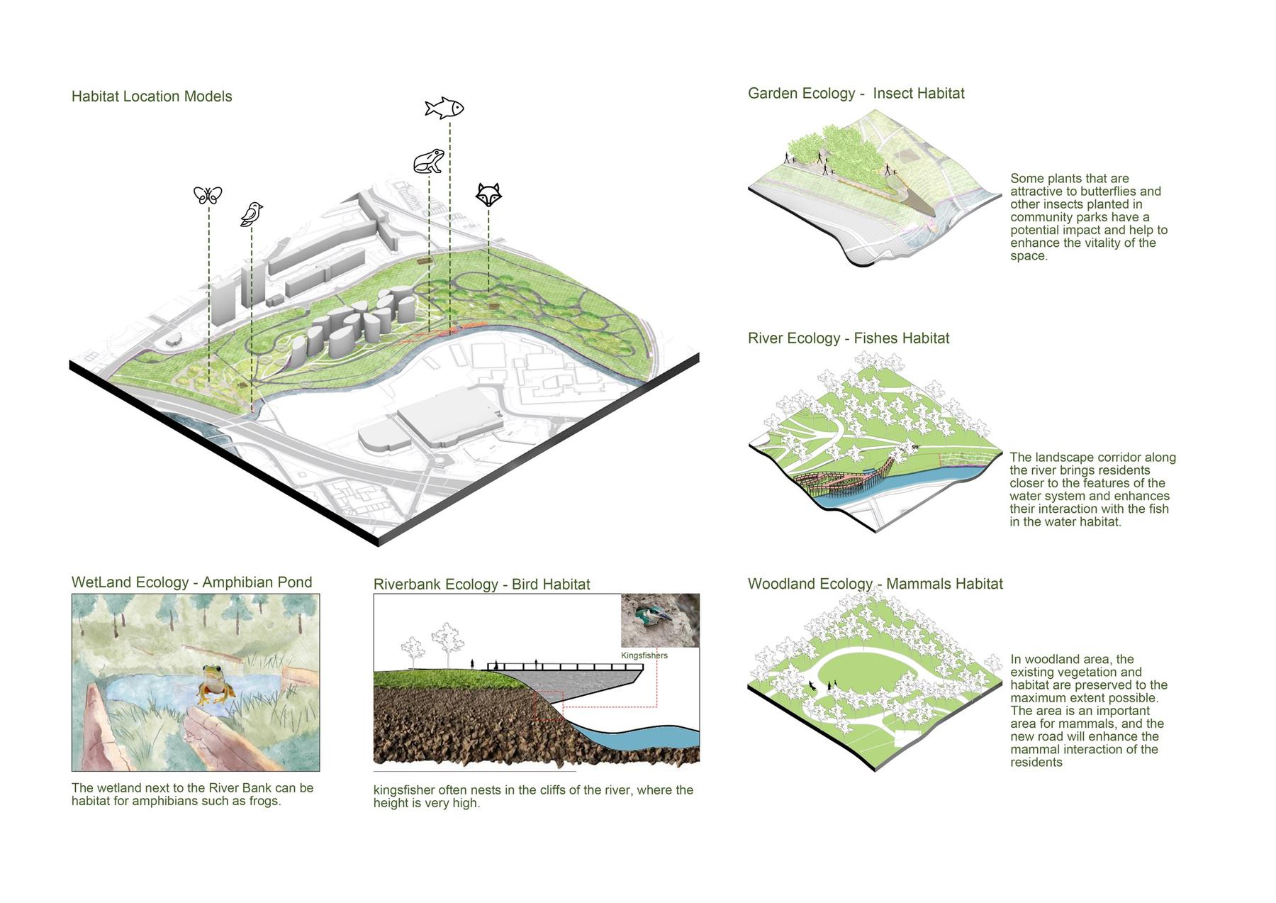 Ecology and Biodiversity
