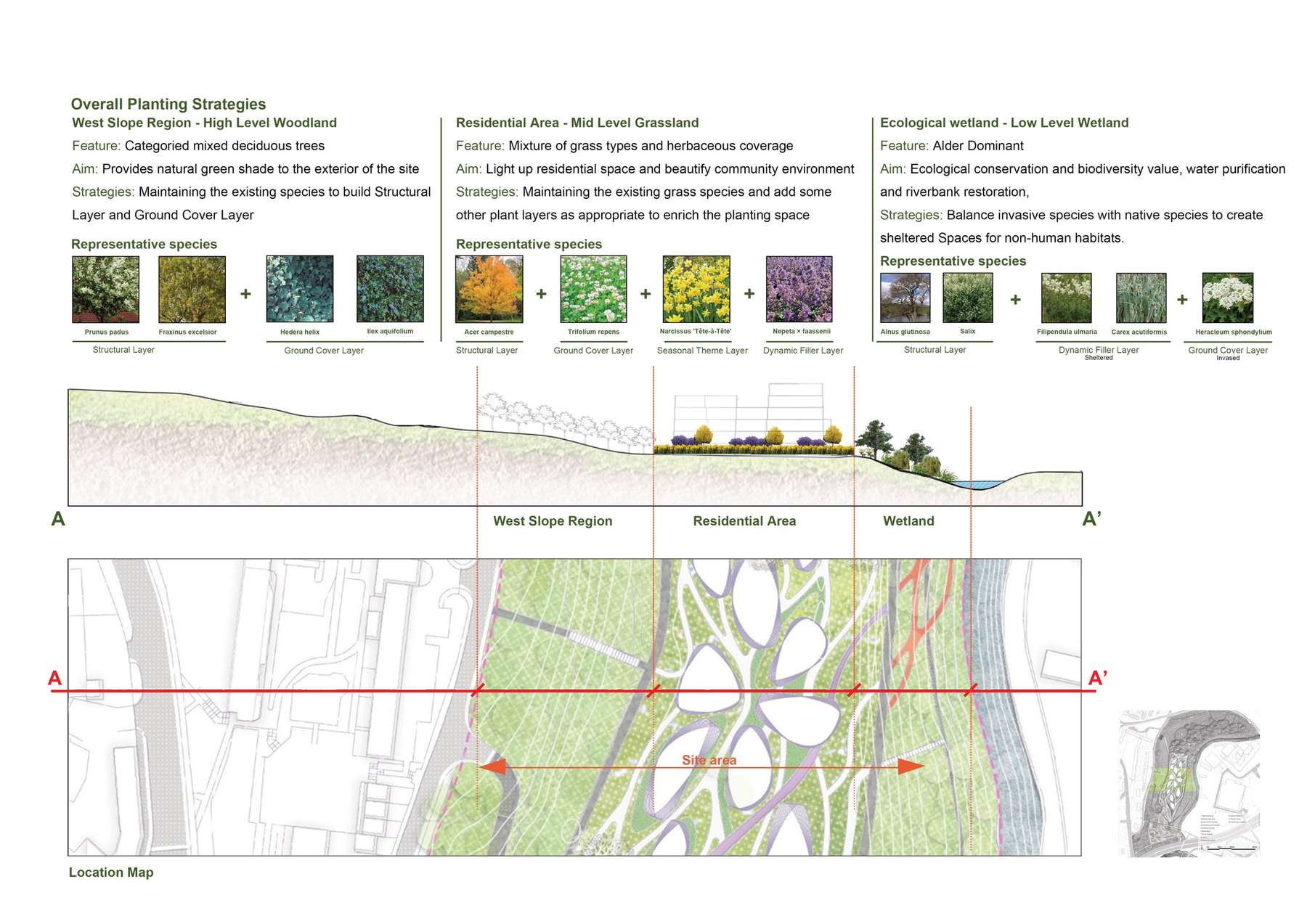 Planting Design