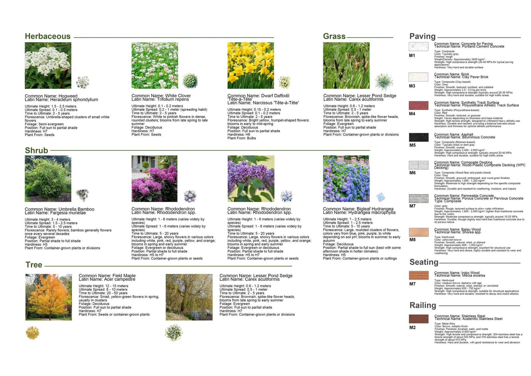 Plants + Material Pallette