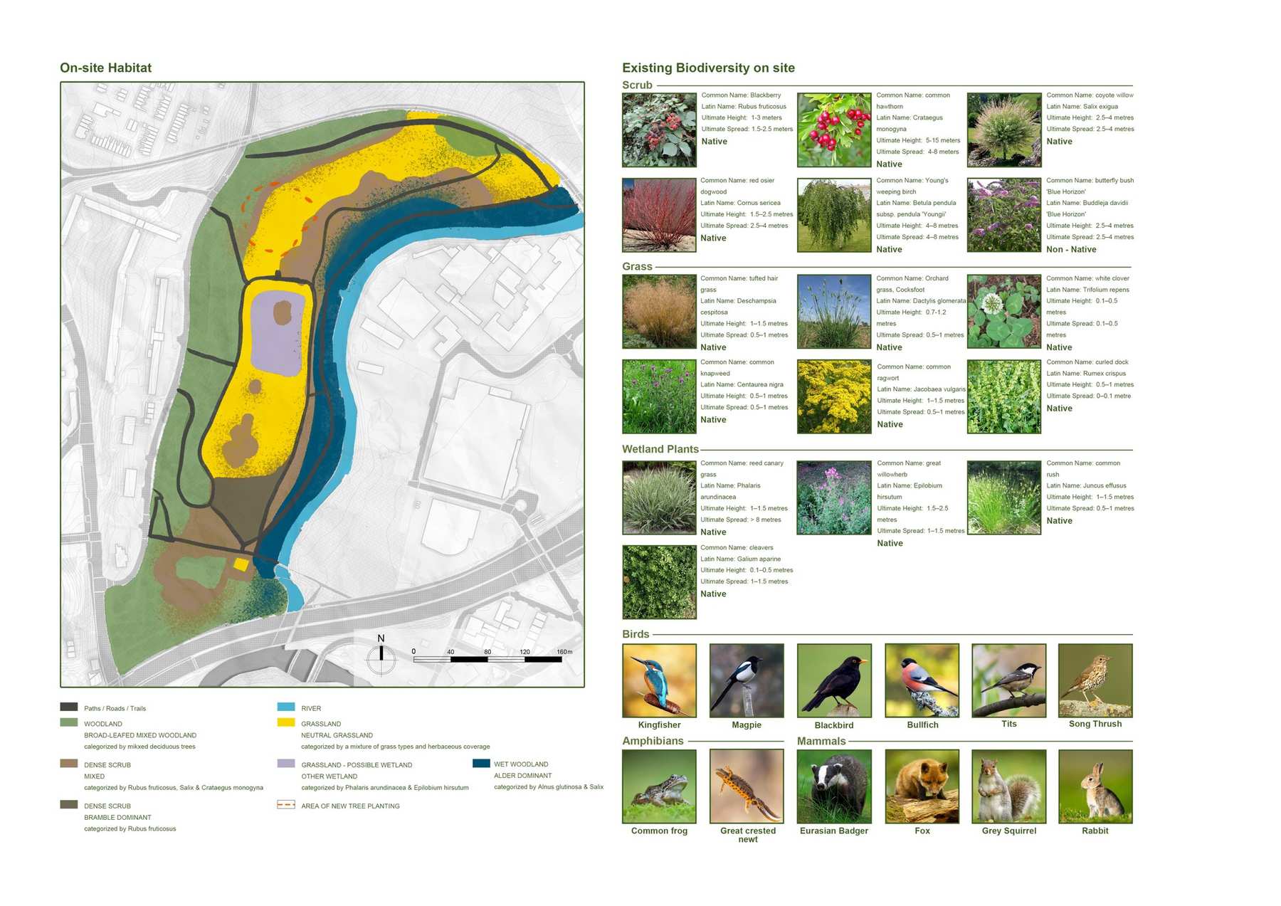 Site Habitat Analysis