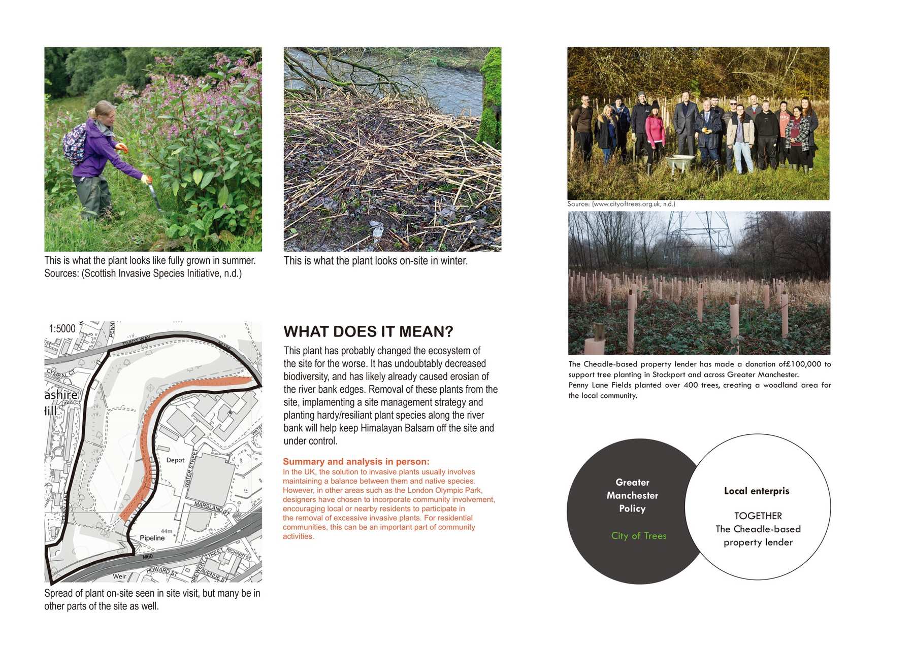 Invasive Plant Management + Community Engagement