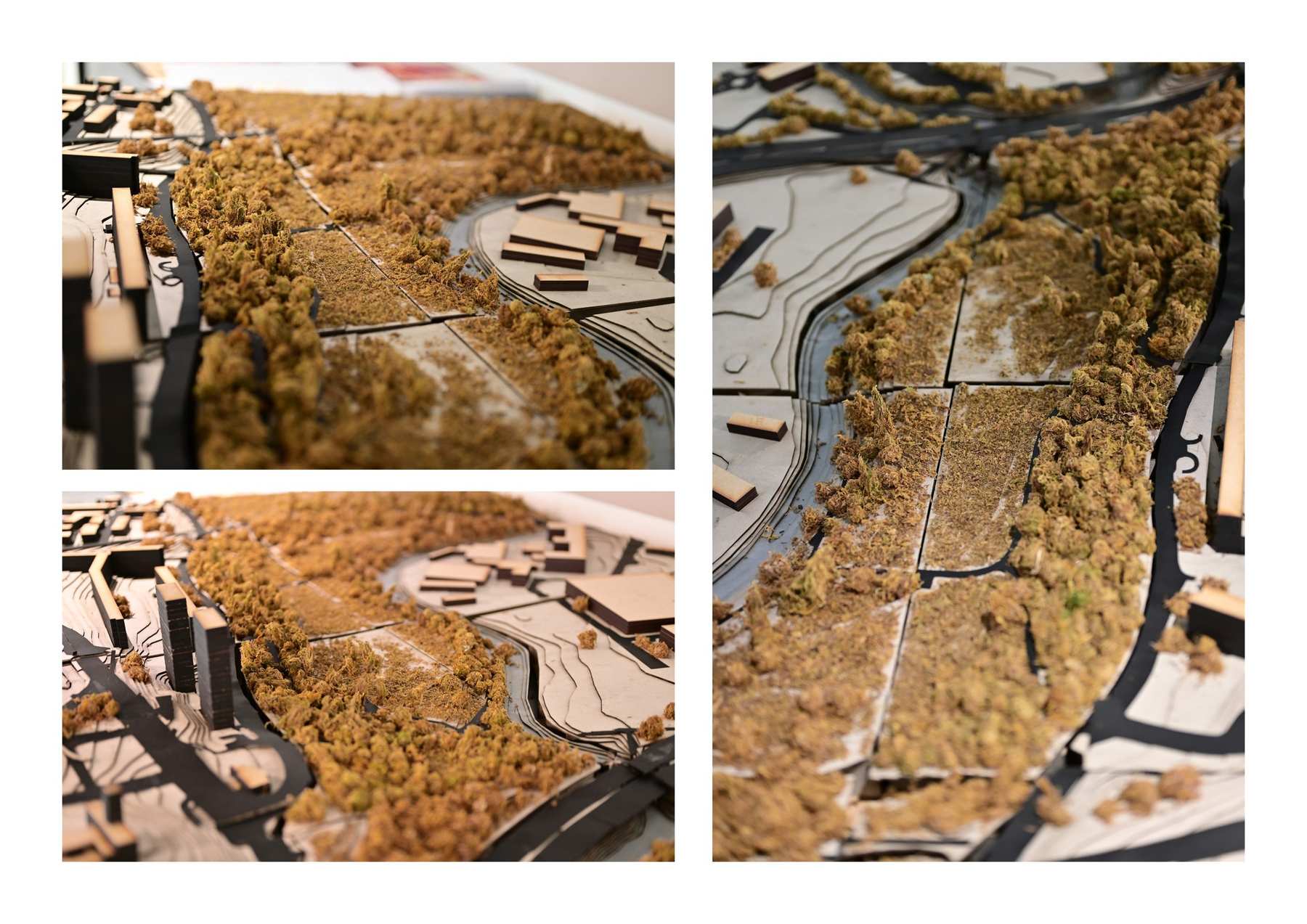 Site Model in Detail